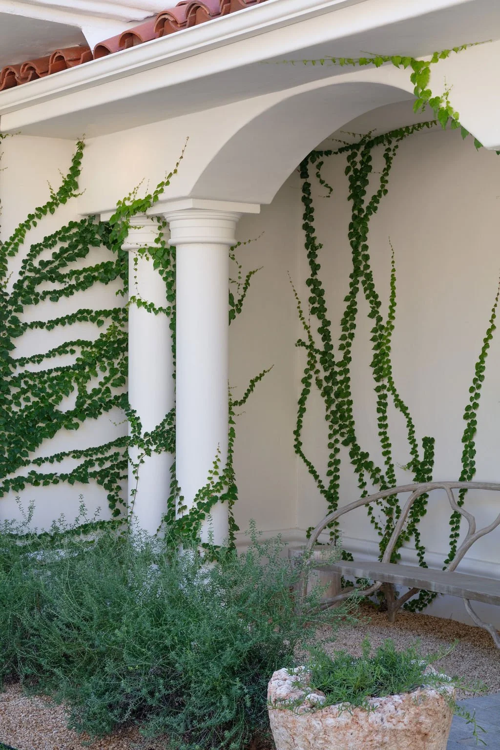 Natoma Estates — Stacey Isaac Landscape Architect