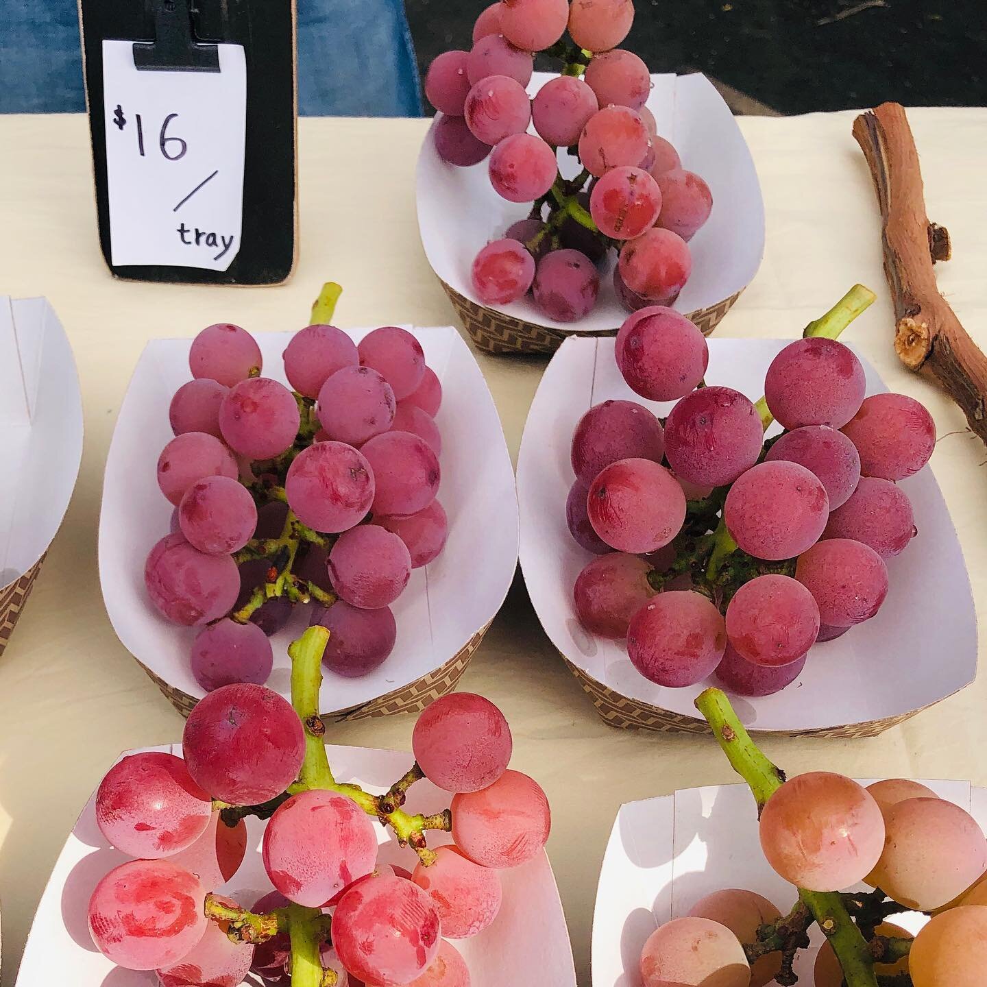 Santa Barbara Farmers Market&hellip; and these were the only mid-grade variety at a paltry $16 a tray: $1 a grape! No joke. 😆. #.01% #savorit