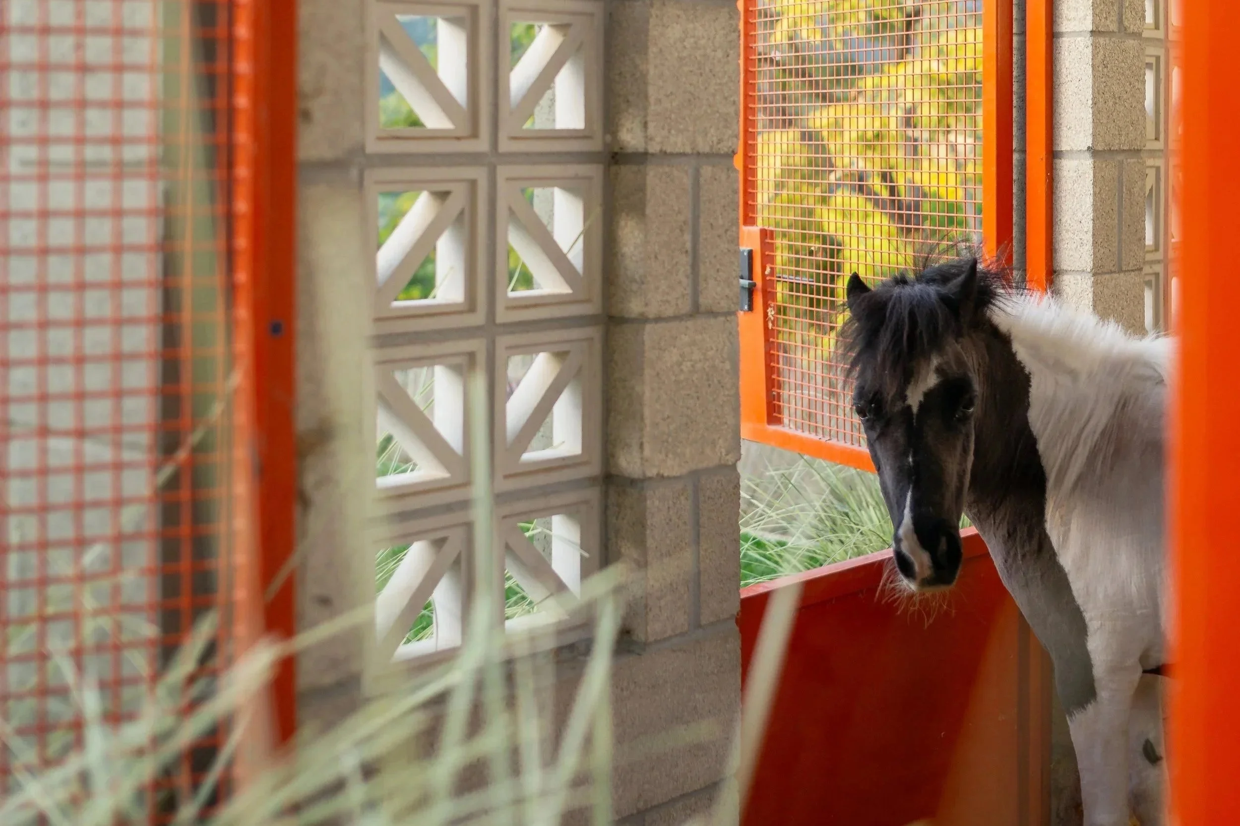 23%2BLas%2BAlturas%2BCircle-030-Edit.jpg