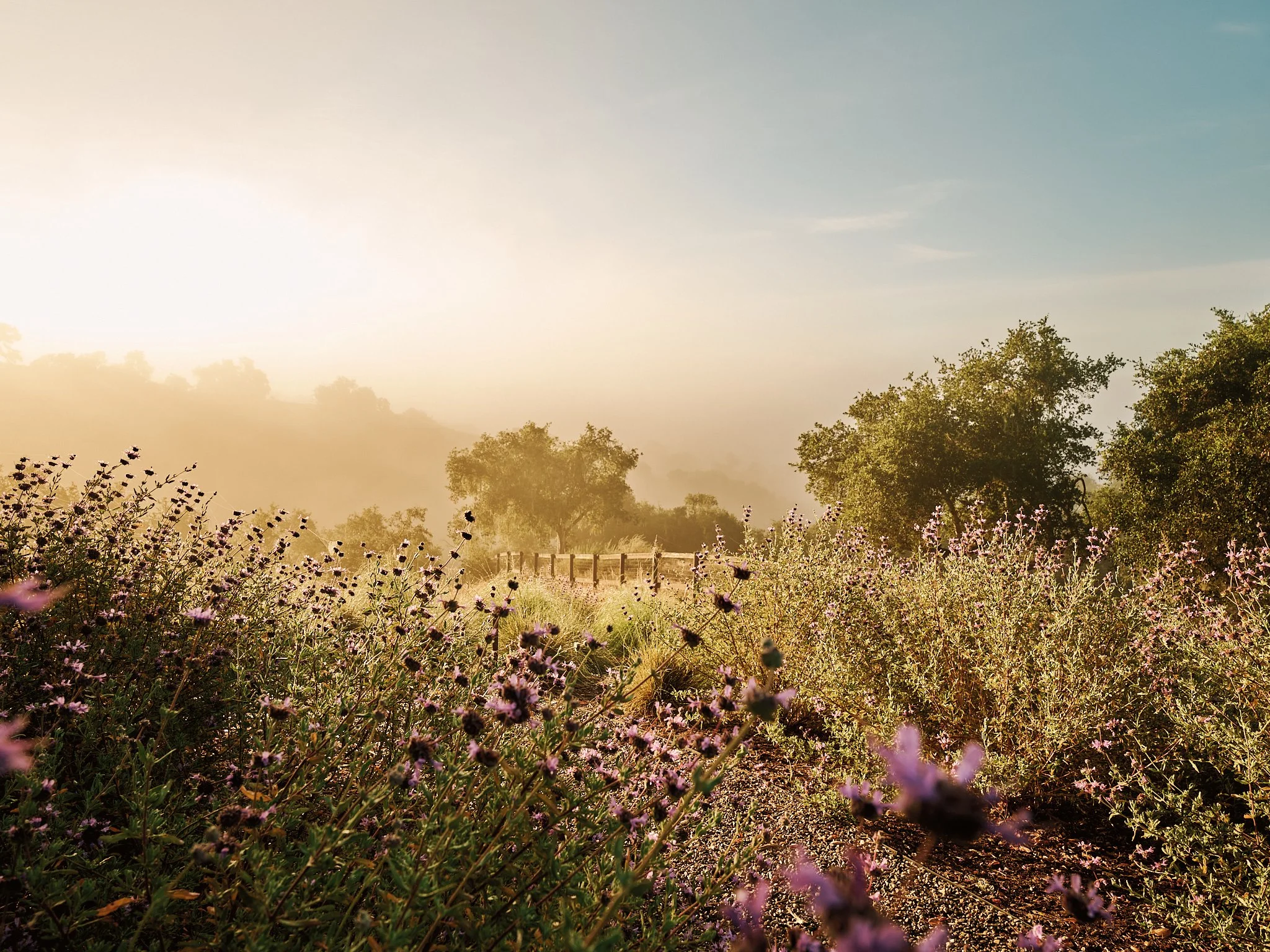 20260422_EV_SantaYnez_Land.jpg