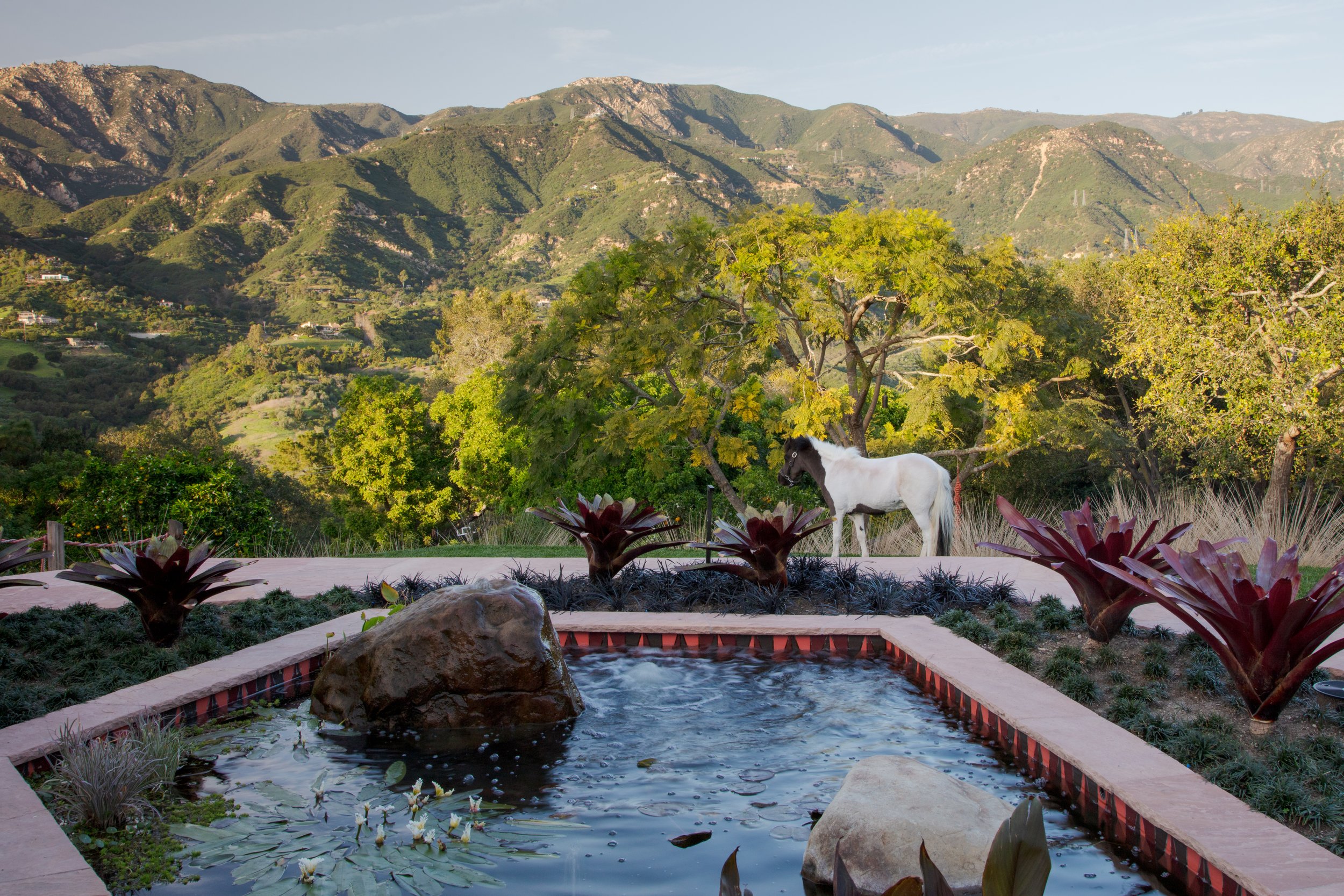 23 Las Alturas Circle-028.jpg
