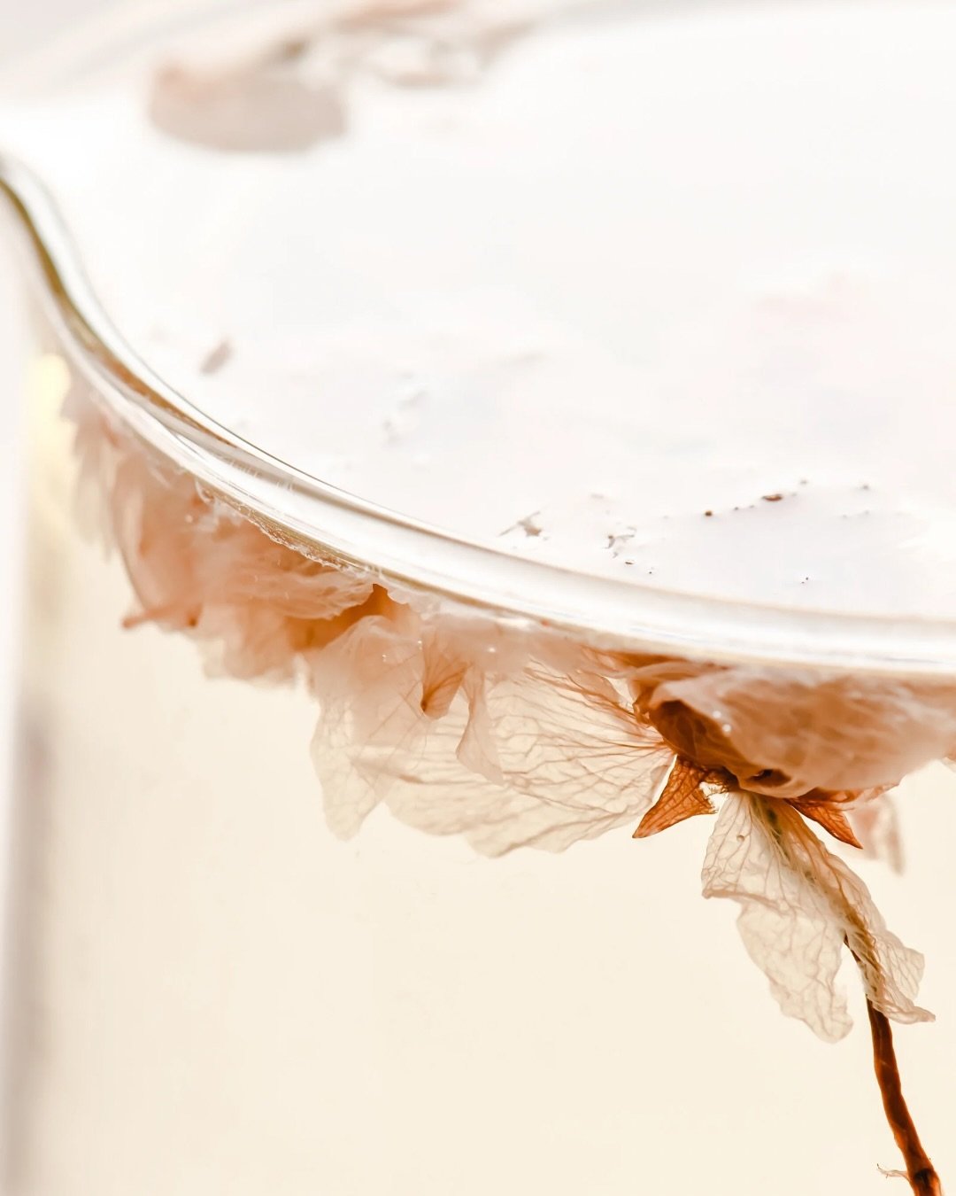A cup of warmth &amp; balance with Chinese medicine herbs 🤎
 In the colder months, or when life feels overwhelming, a cup of nourishing herbal tea can feel like a warm hug for your heart and body. This herbal blend is thoughtfully designed to soothe