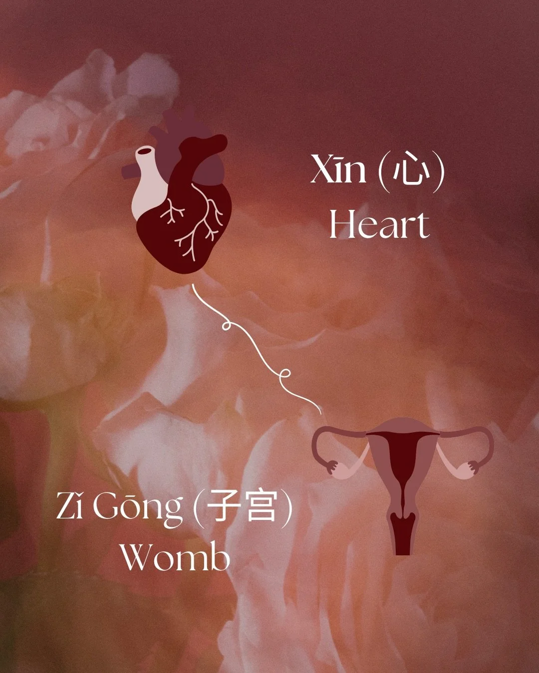 In Chinese medicine, Xīn (the Heart) and the Zǐ Gōng (Womb) have a direct connection with each other through the Bao Main (Uterine Vessel). This direct relationship reflects the important bond between emotion, spirit, and creation.

❤️ The Heart gove