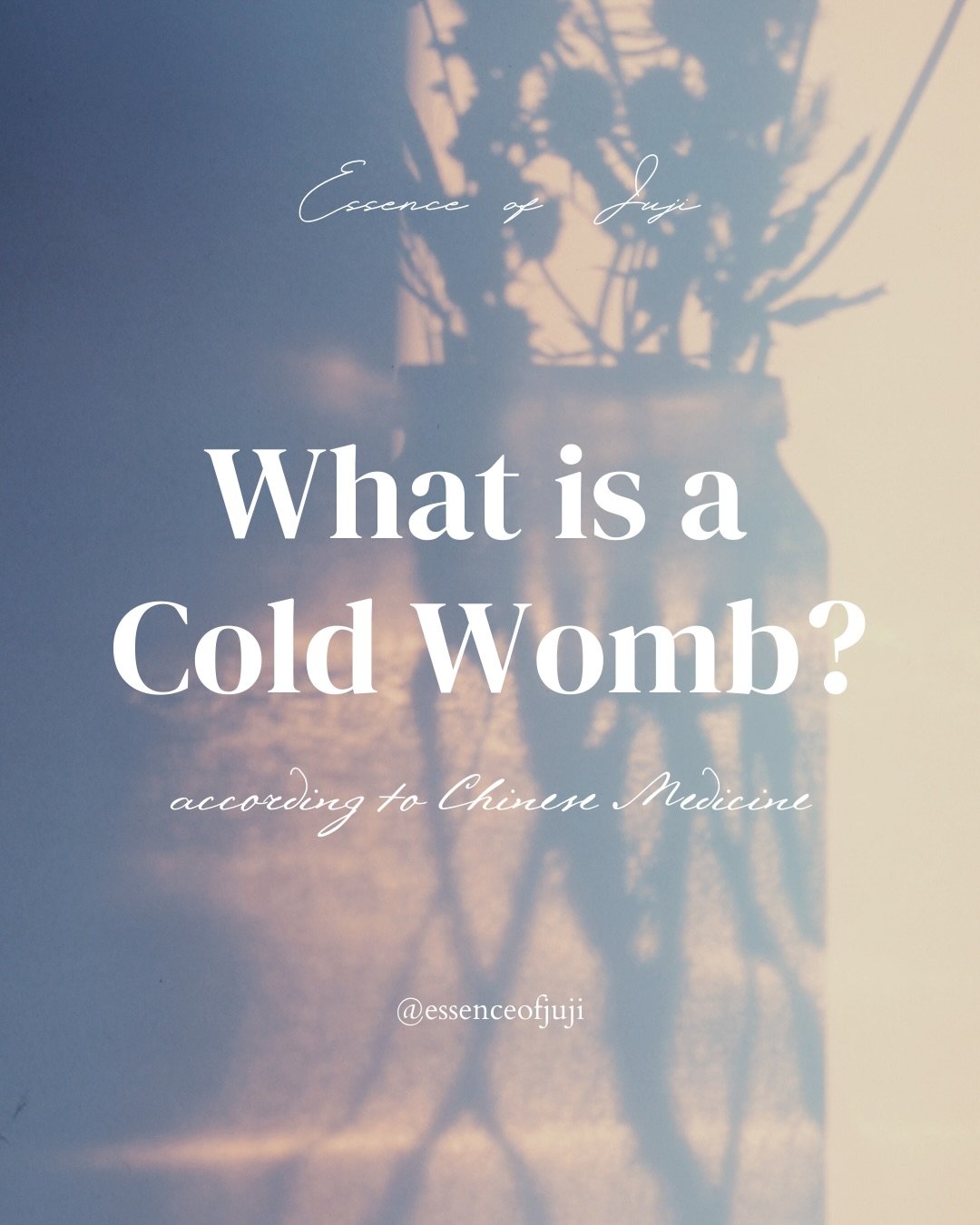 🧊 Cold in the Womb is a common pattern in Chinese medicine &mdash; let me break down what this means:

In Chinese medicine, Cold in the Womb refers to a lack of internal warmth in the Uterus &mdash; disrupting healthy circulation of Qi and Blood, an