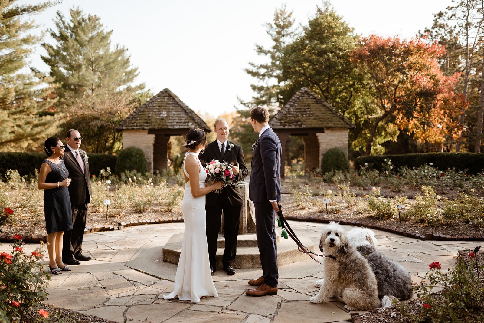 Romantic Autumn Rose Garden Elopement in Des Moines