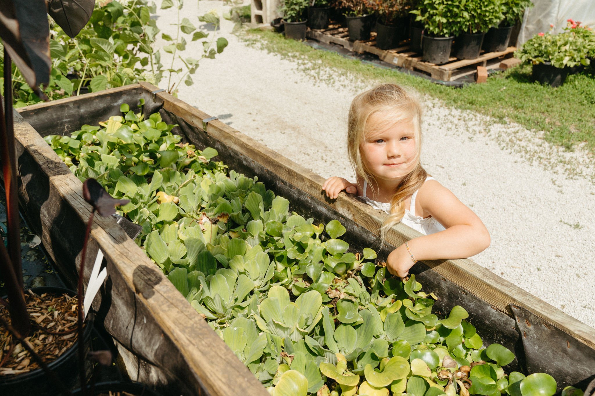 Summer Greenhouse Family Session