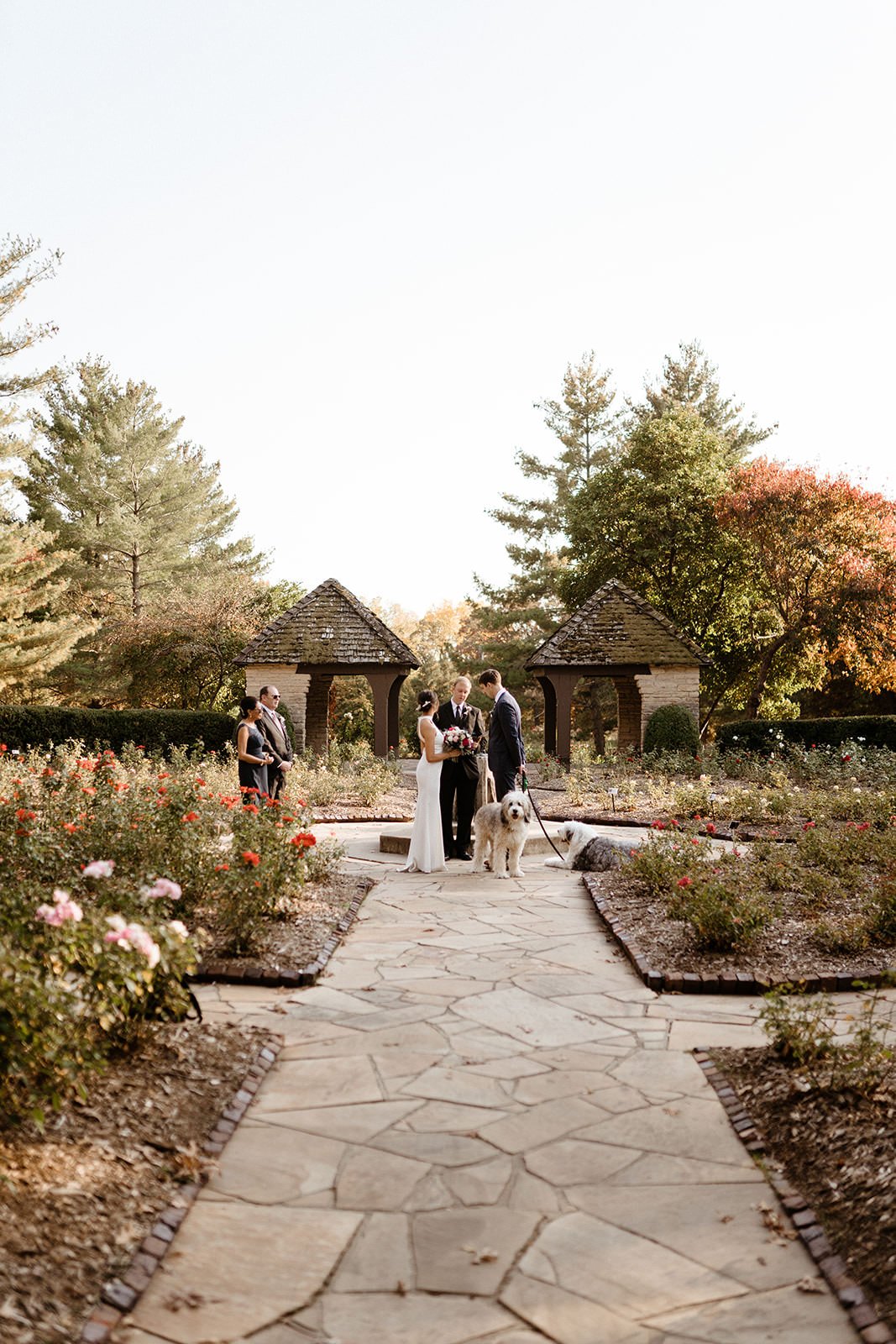 Clare and Miles Mills Rose Garden
