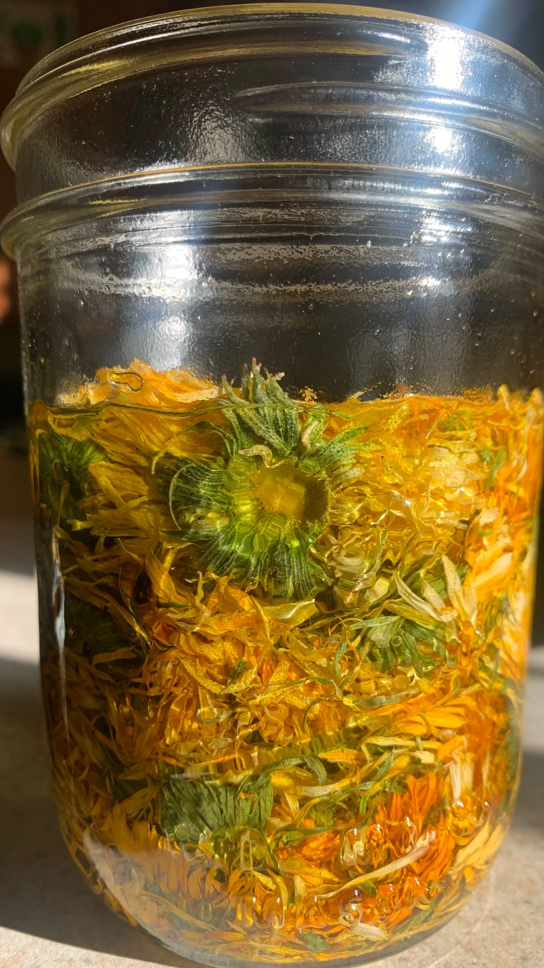 Herbal Infused Oils & Salves