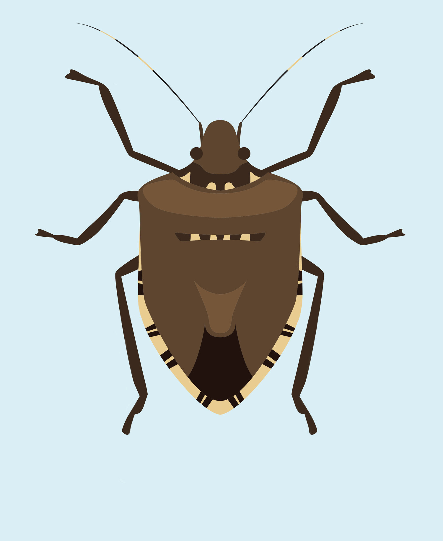 The Great Stink Bug Challenge