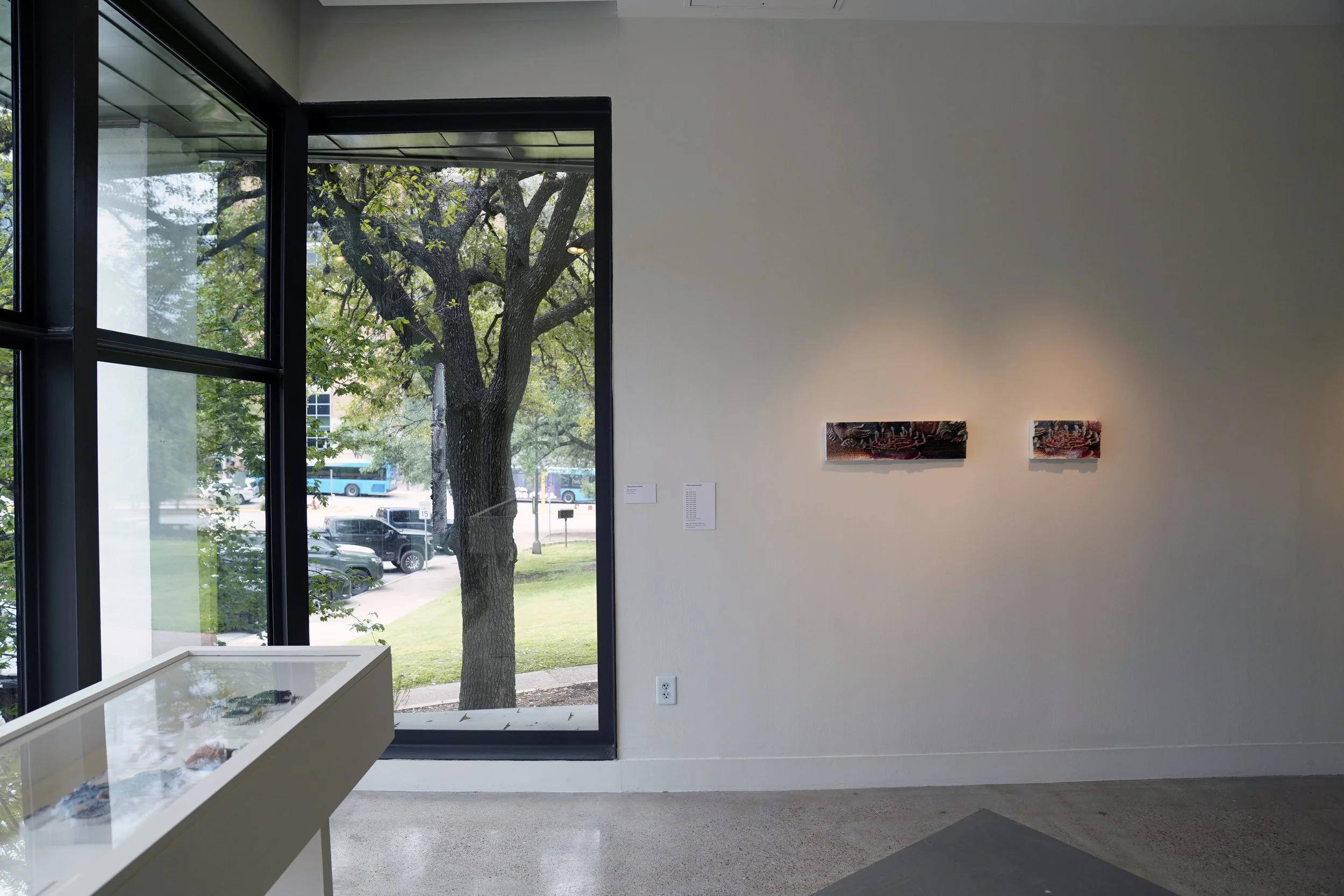 installation view 1.jpg