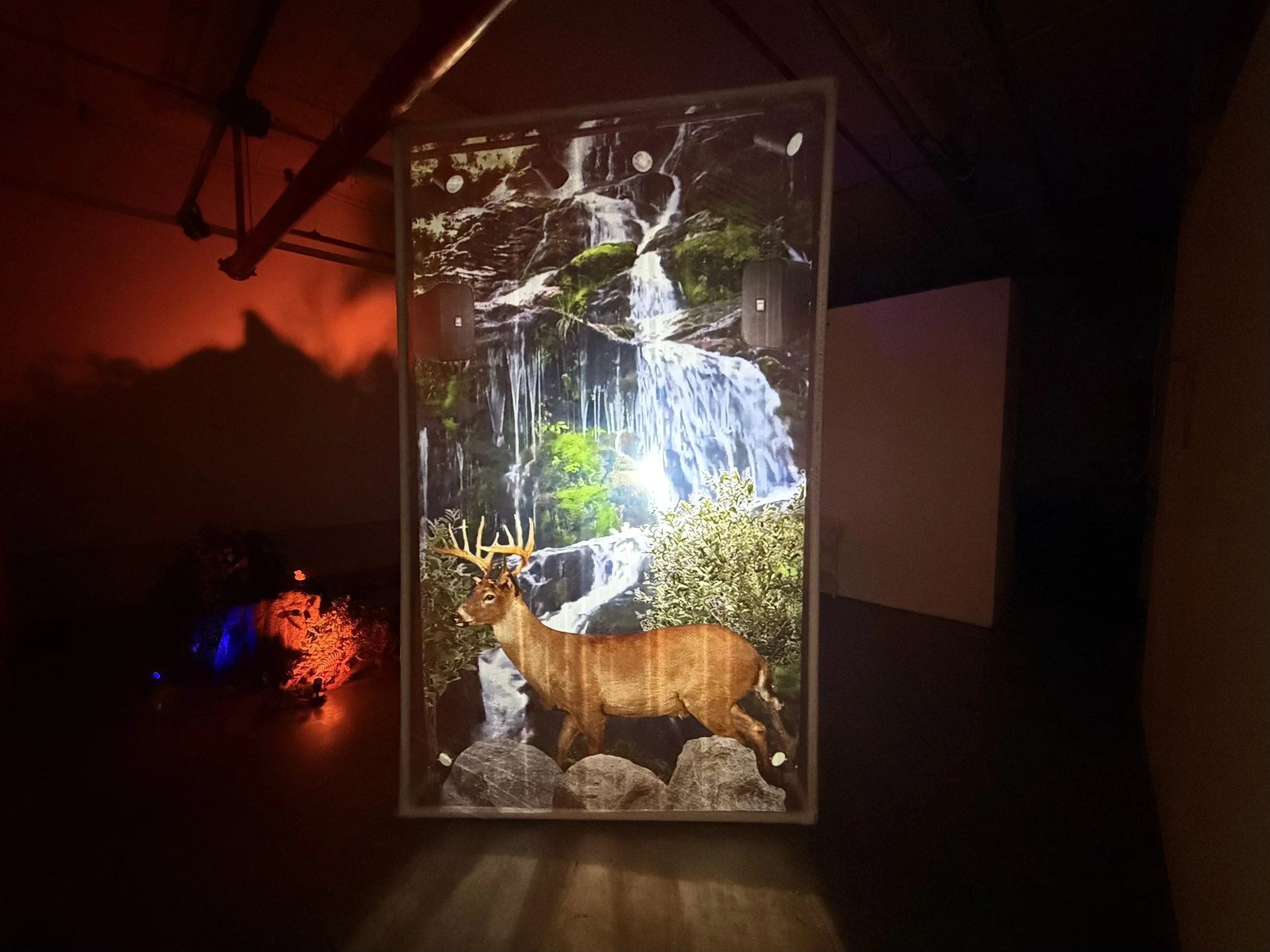 Dusty Roads and Broken Dreams (Installation View), 2025   Rear projection, faux rock and plants, uplight, dummy camera, sound