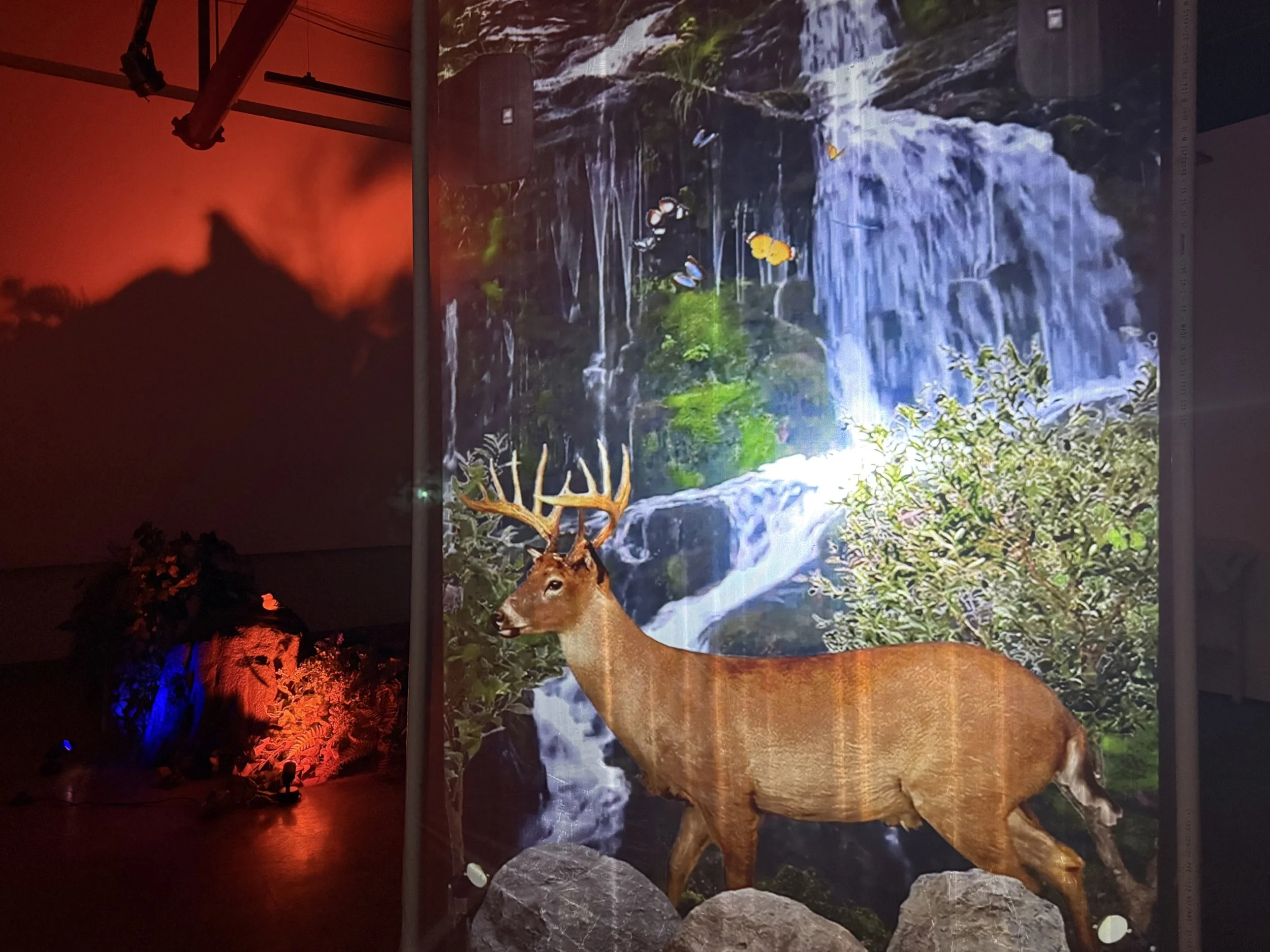 Dusty Roads and Broken Dreams, 2025  University of Texas at Austin