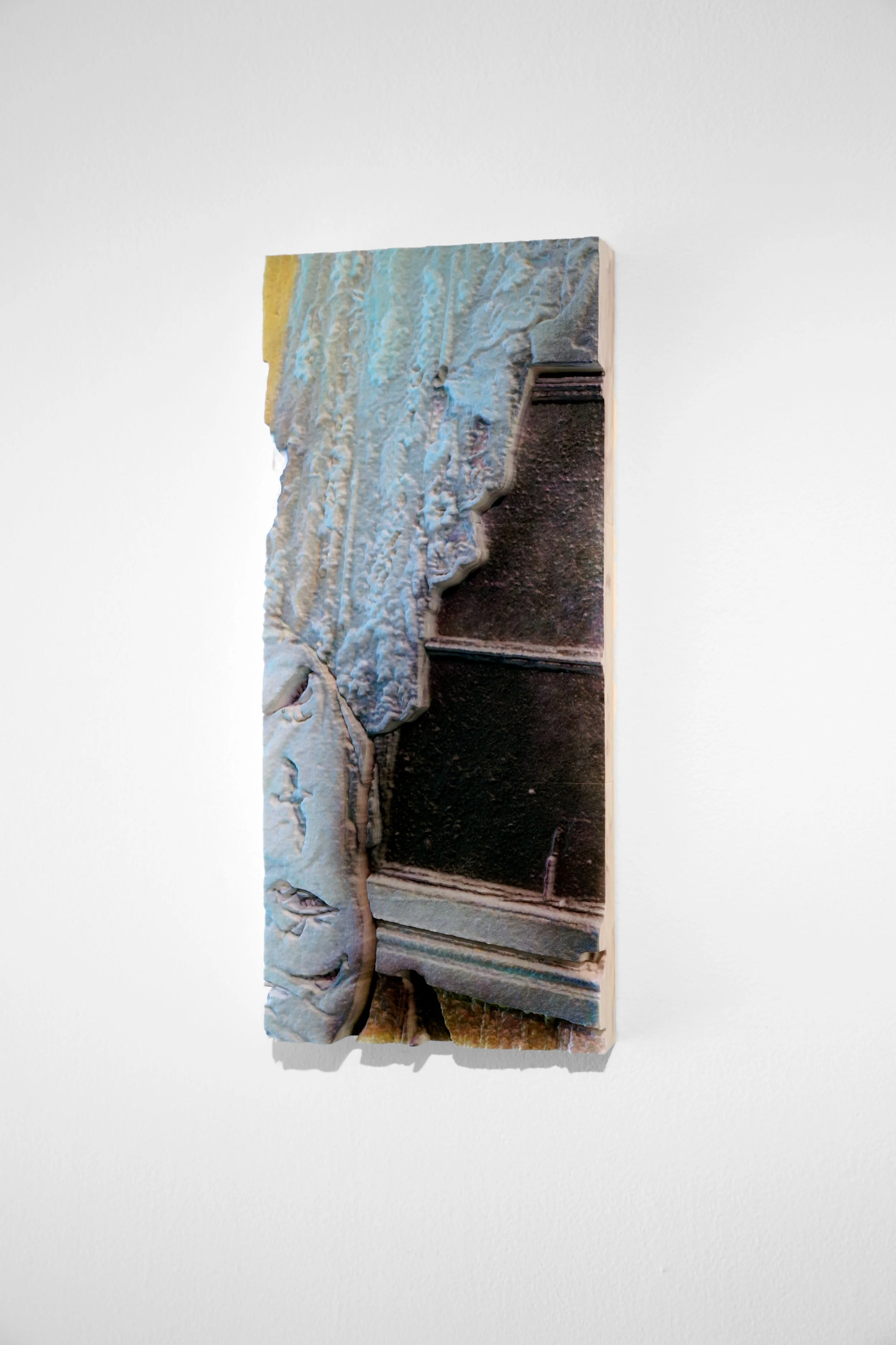Lace Curtain, 2025
UV printed photograph on 3D print, 13 x 30 x 4 inches