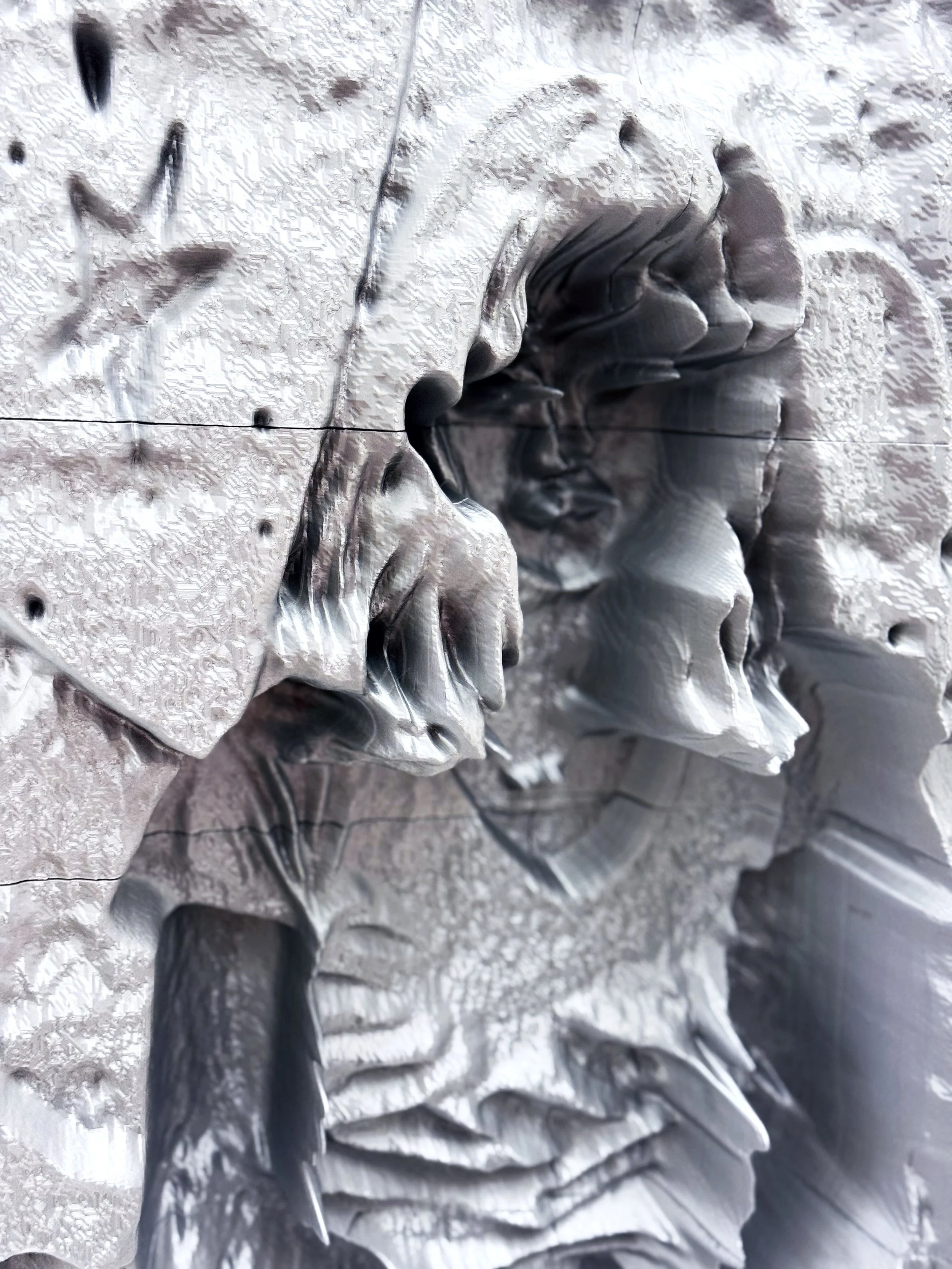 Family Relic (8th Grade) detail, 2025
3D print, 18 x 24 inches