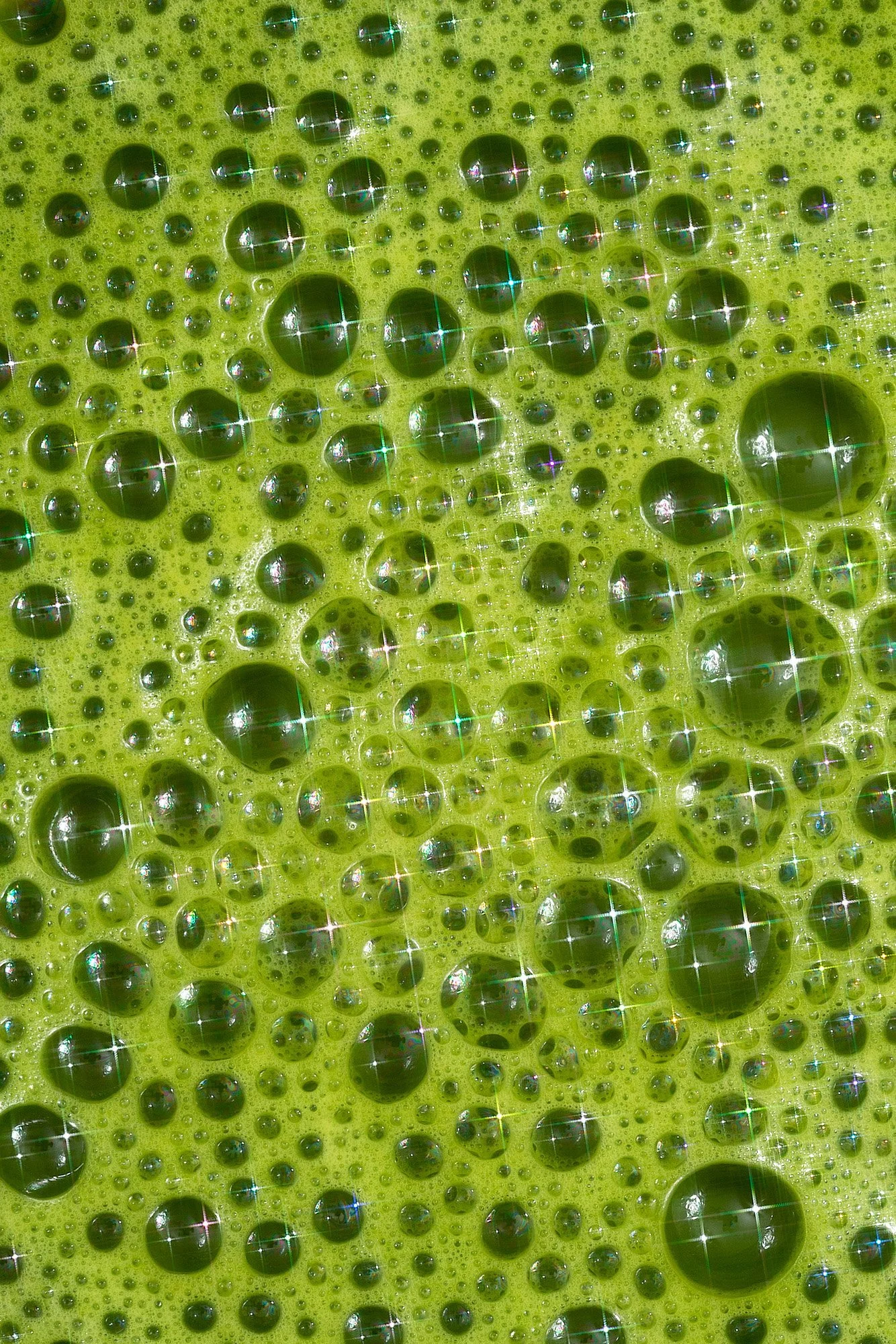 Matcha_1_1.jpg