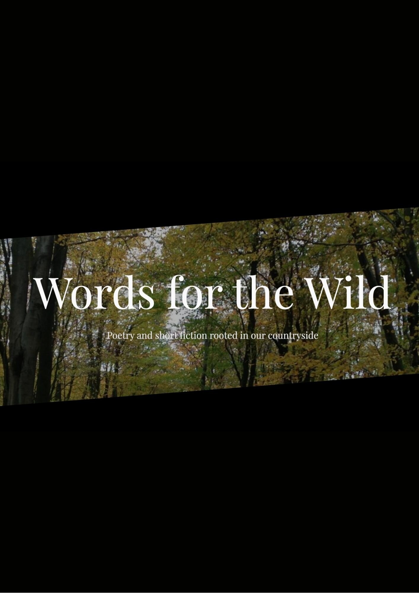 Words for the Wild, Nov 2019