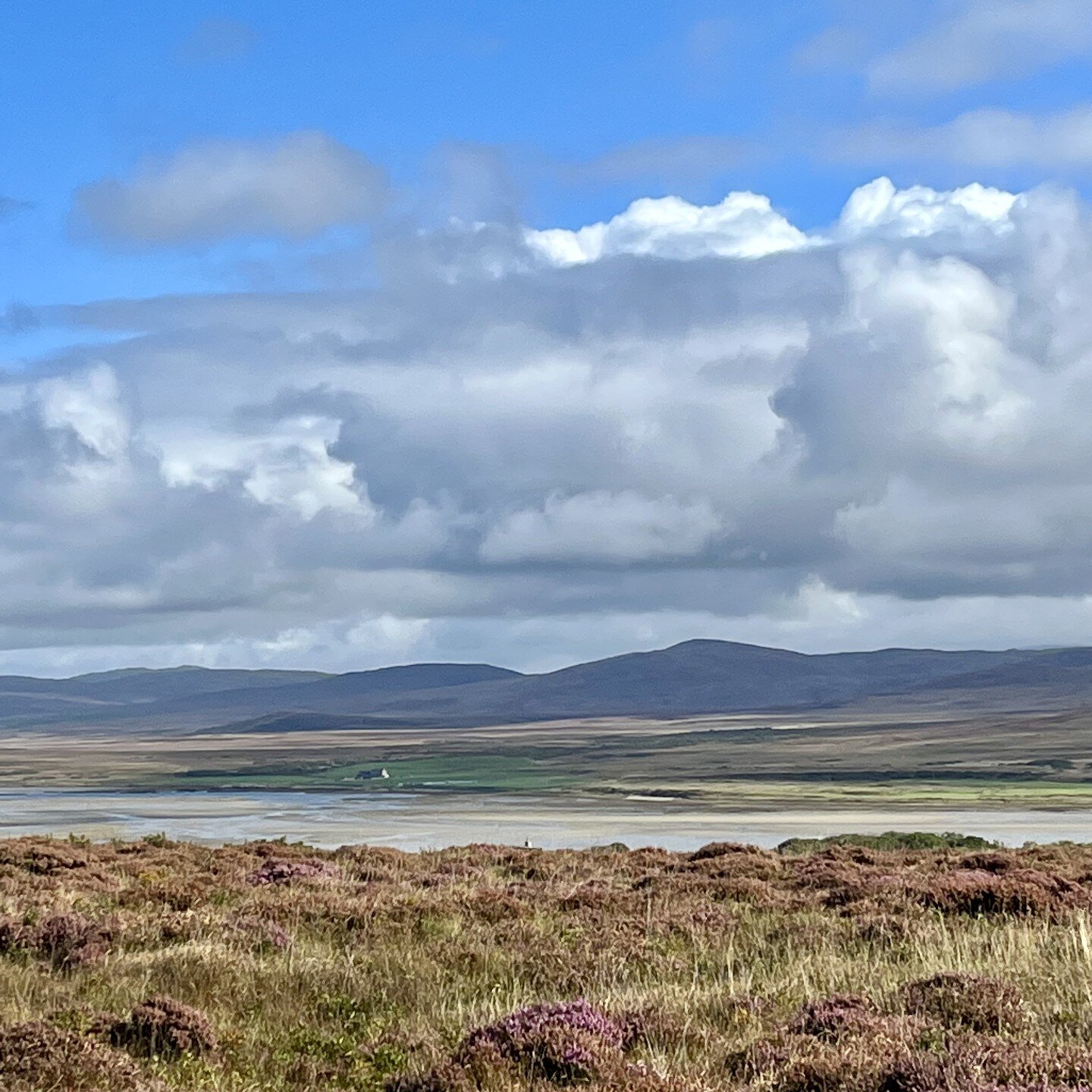 Just back from a ten day trip to my happy place, the isle of Islay. ⁣This picture was taken at Gruinart, looking down to the head of the loch.
⁣
The colours at this time of the year make the landscape sing: the purple of the heather; the yellow of th