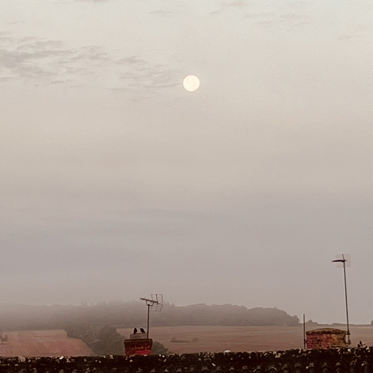 Yesterday, woke to see the harvest moon over the roof tops, just after dawn.⁣
⁣⁣
&quot;But there's a full moon risin'⁣
Let's go dancin' in the light ...&quot;⁣
⁣
(Neil Young, 𝘏𝘢𝘳𝘷𝘦𝘴𝘵 𝘔𝘰𝘰𝘯)⁣
⁣