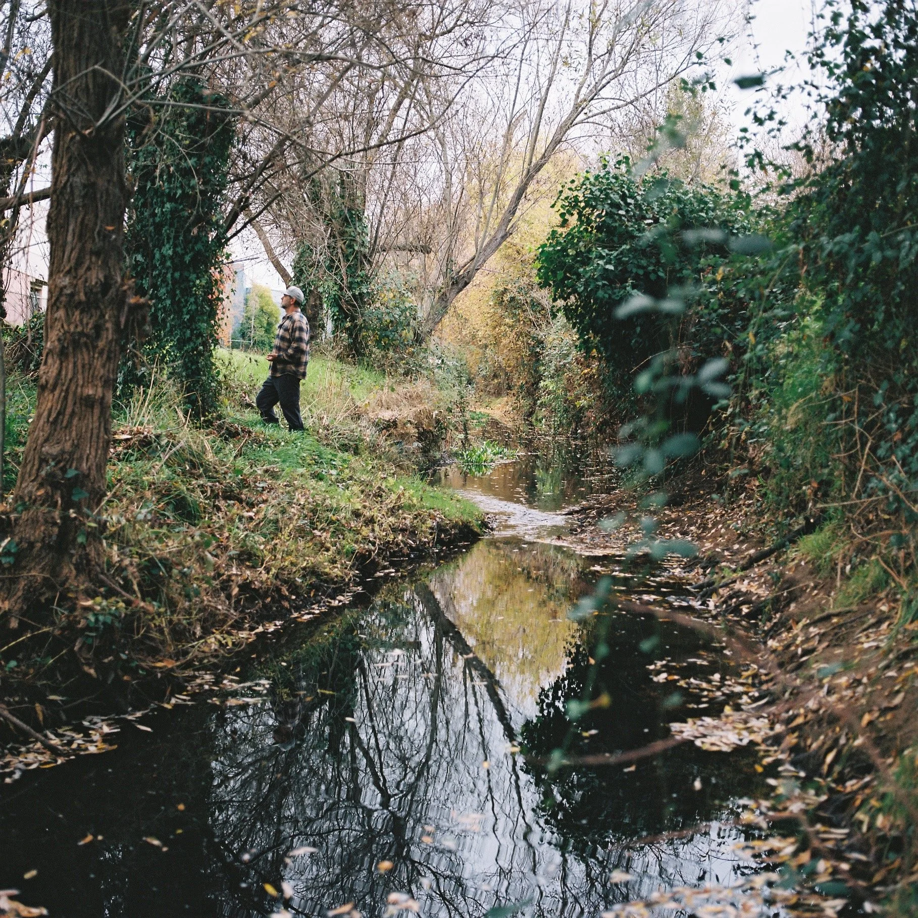 Respect and gratitude to @marinhumane for rematriating land (pictured) into Coast Miwok hands. The land is designated &ldquo;Passive Open Space as a Wildlife Refuge Restoration Area&rdquo;. This means that it will remain undeveloped, in perpetuity, t