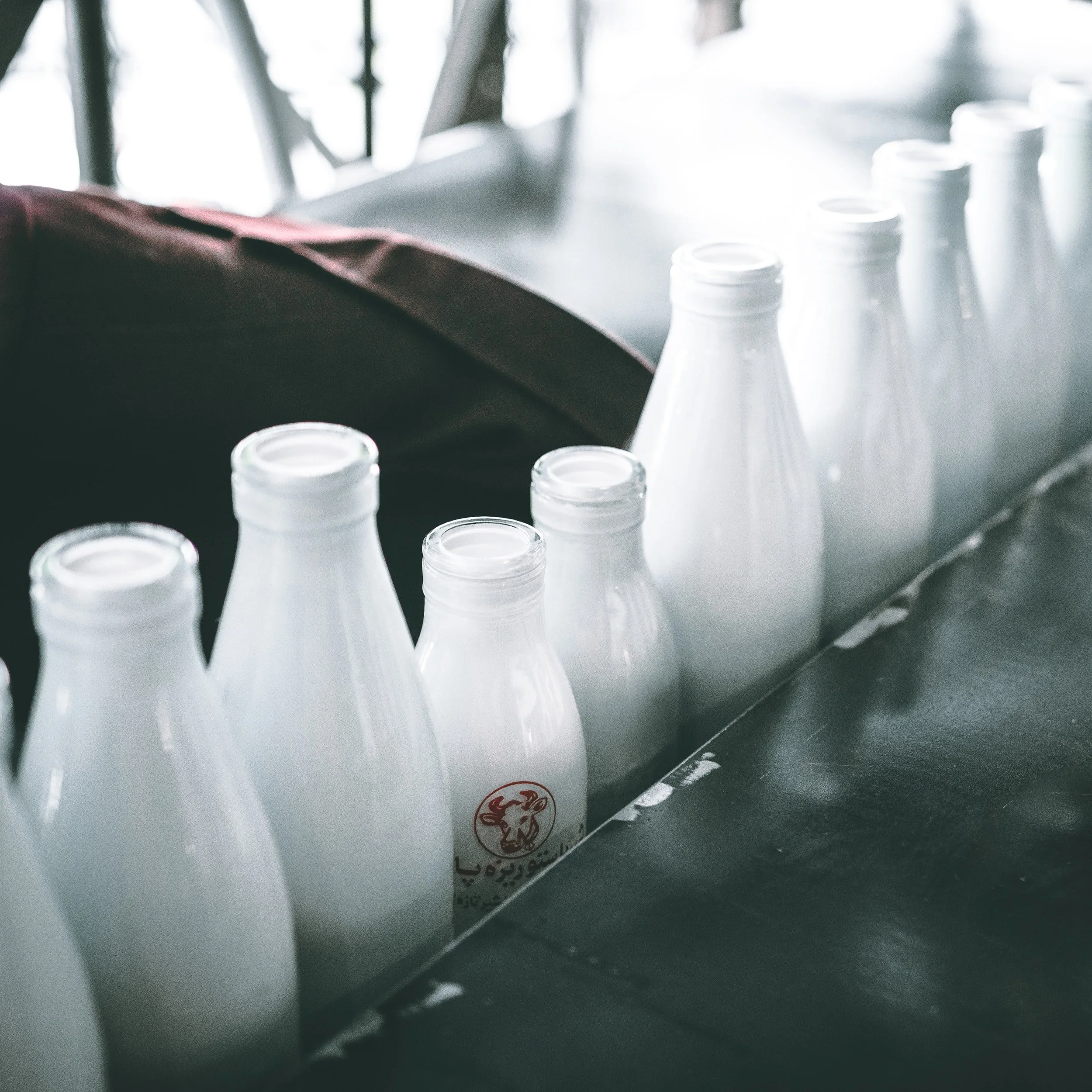 What is the best type of milk