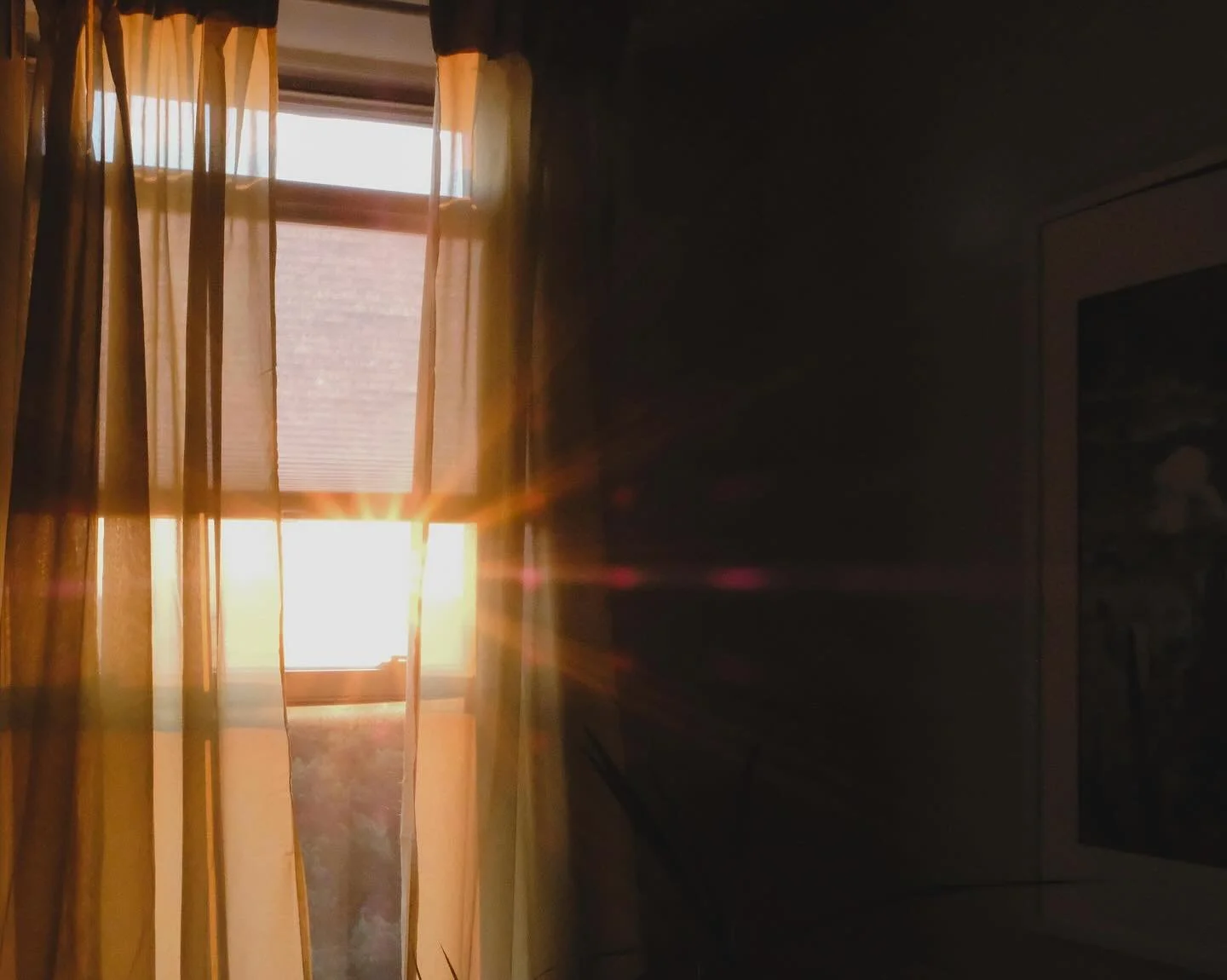 @cauly_flower&rsquo;s home is just 💫