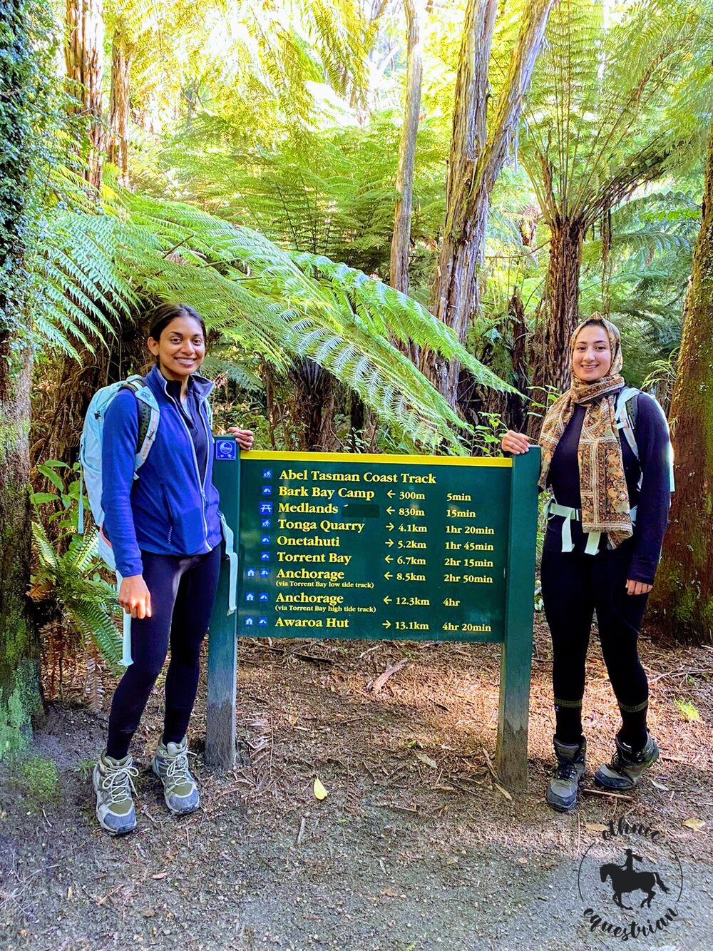 abel tasman coastal track.jpg