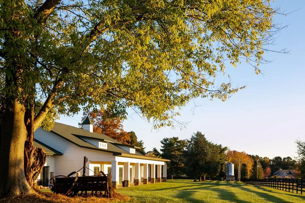 Farm landscape with a white barn, green trees, and a clear sky