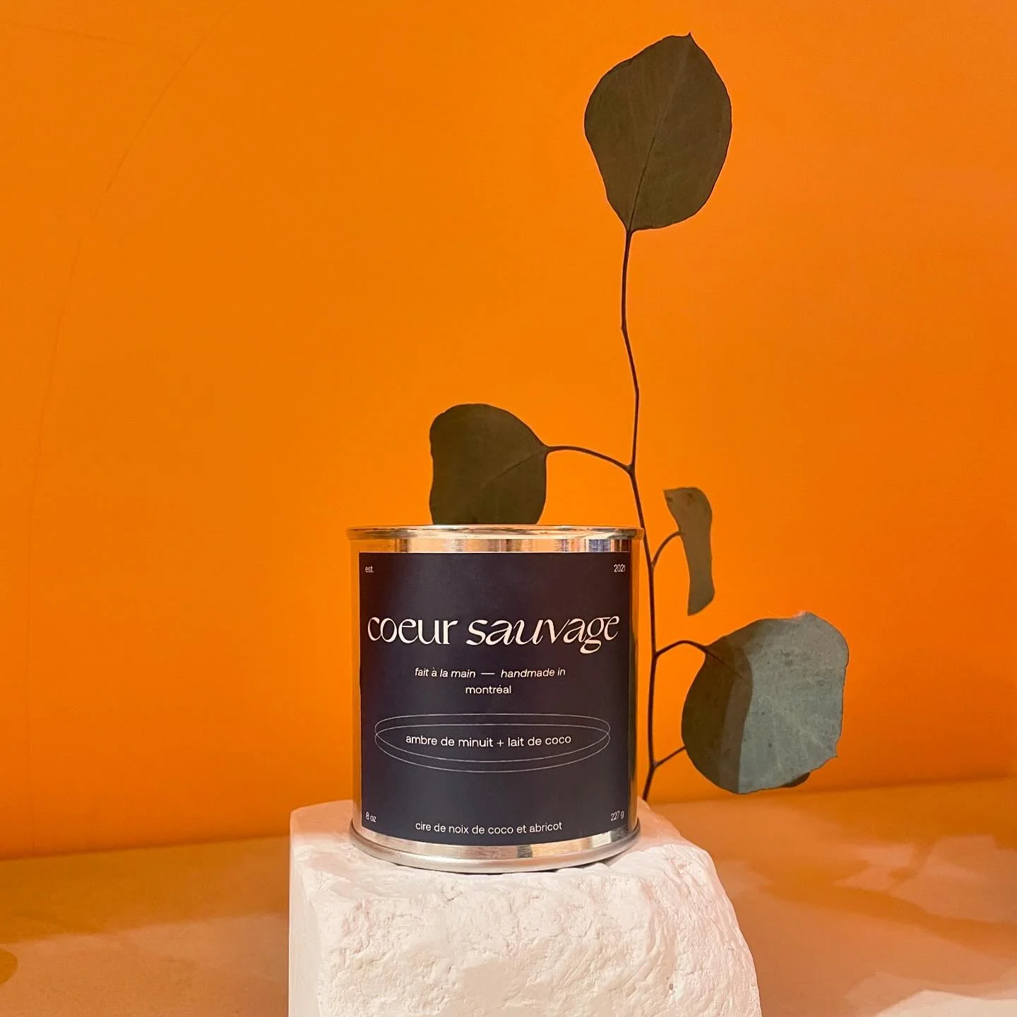 ambre de minuit + lait de coco 🥥
votre bougie favorite est de retour! (aussi disponible en brume)
disponible d&egrave;s maintenant sur le site web 🥳
