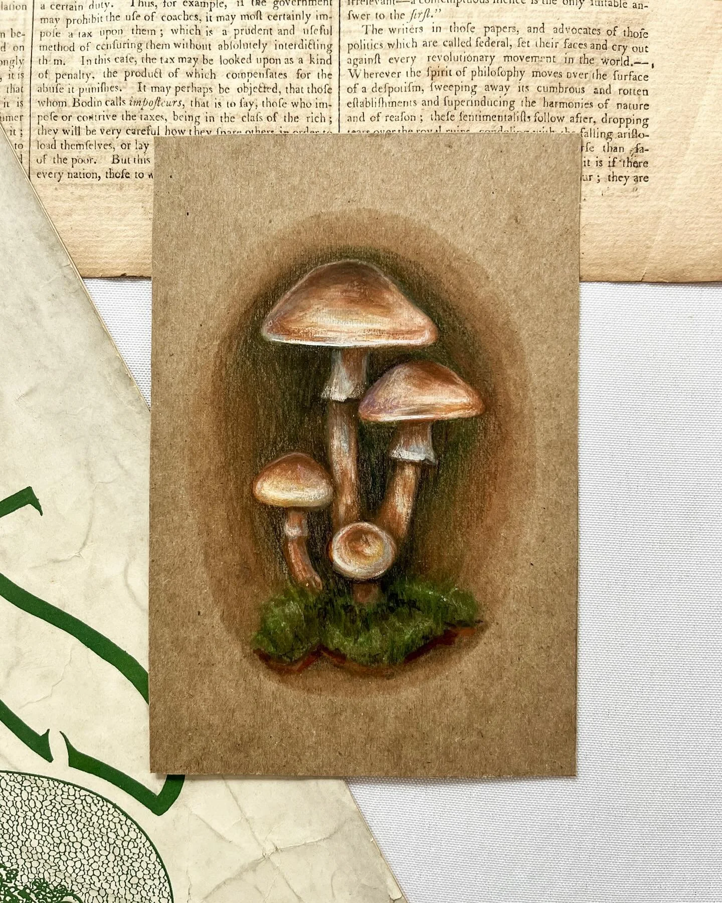 Game of Shrooms 2025 is officially here! I’ve hidden this original mixed media illustration somewhere in my hometown of Roswell, GA. If you find it, please share & tag me so I know this drawing has a new home! 
Here’s a hint: check b