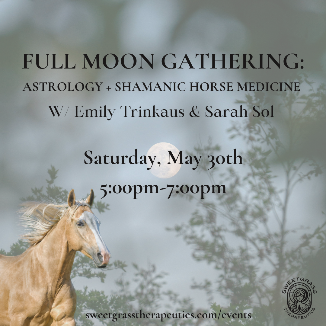 Full Moon Circle – Astrology + Shamanic Horse Medicine 