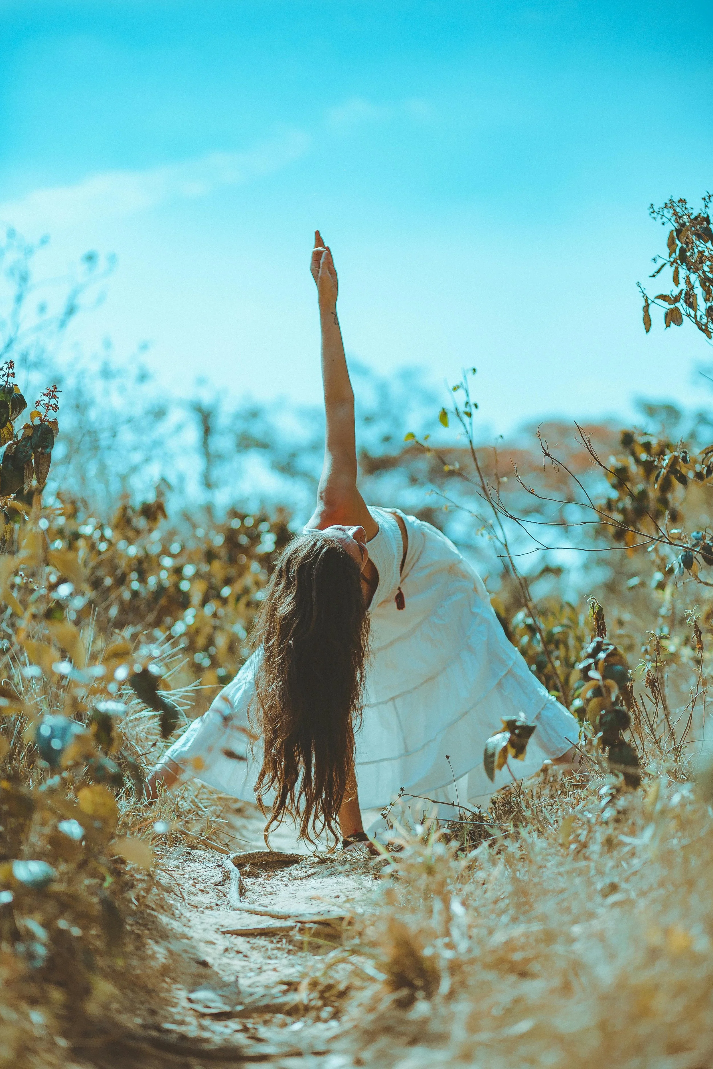 Asana & The Law of Alignment 