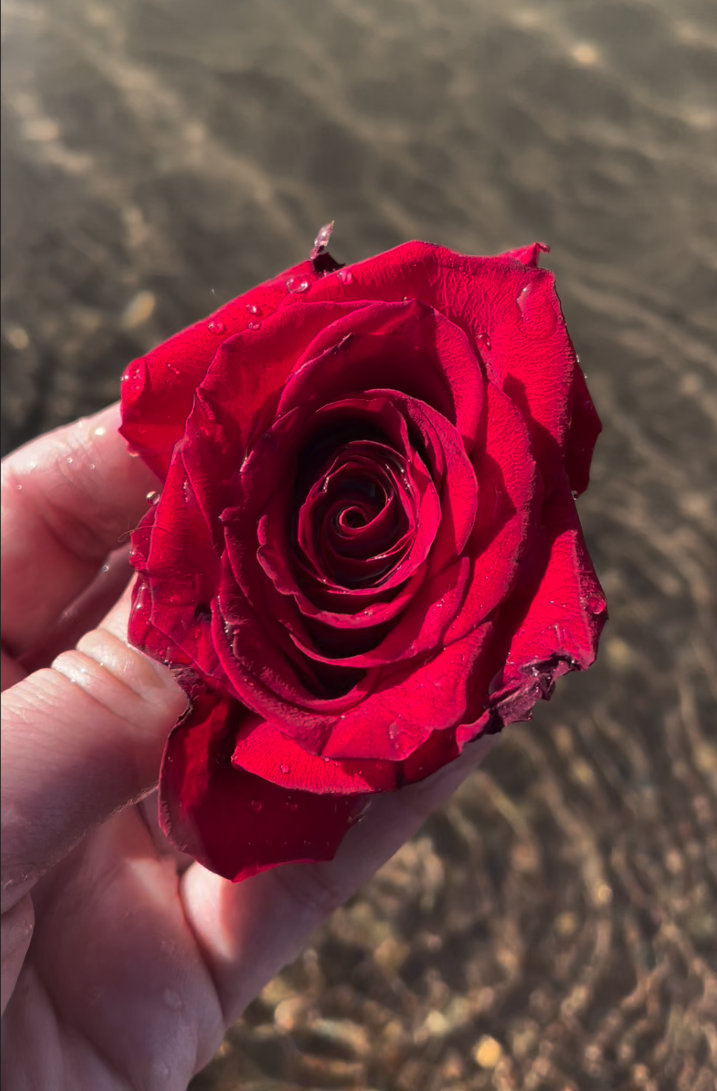 Inner Body Wisdom: 
Re-Writing Shame & Re-Claiming Pleasure 