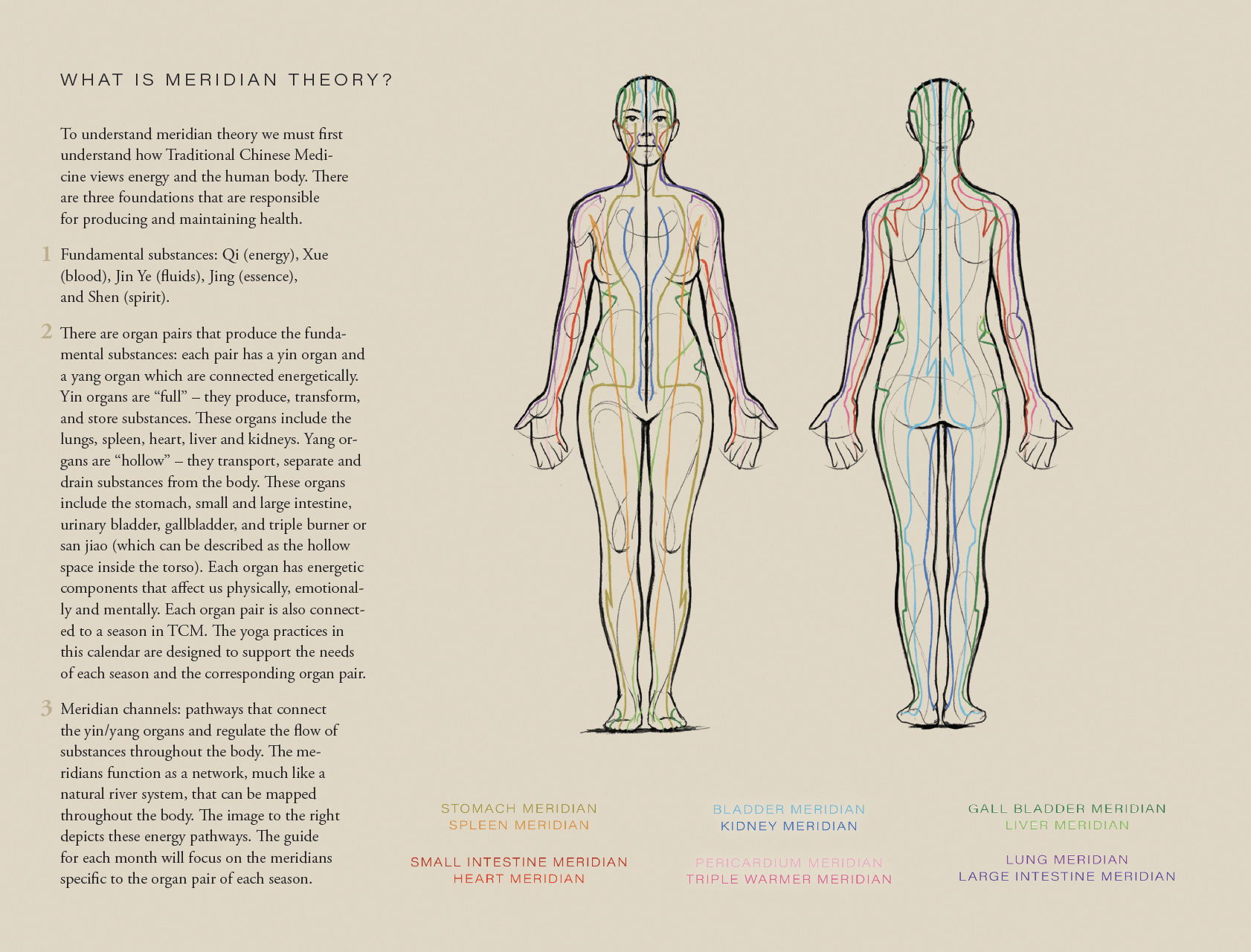 Diagram of meridian lines on a human body illustration, labeled with different meridian names and colors, including stomach, spleen, bladder, kidney, gall bladder, liver, small intestine, heart, pericardium, triple warmer, lung, and large intestine meridians.