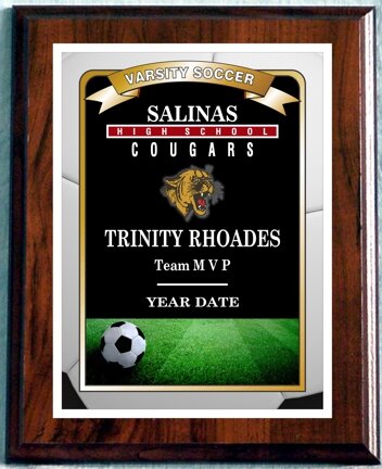 Hi Rez 2nd Gen Soccer Plaque. This beautiful award is a continuation of our popular Hi Rez Series Plaques. this awesome new style comes in sizes 8x10 23.95, 7x9 21.95, 6x8 19.95