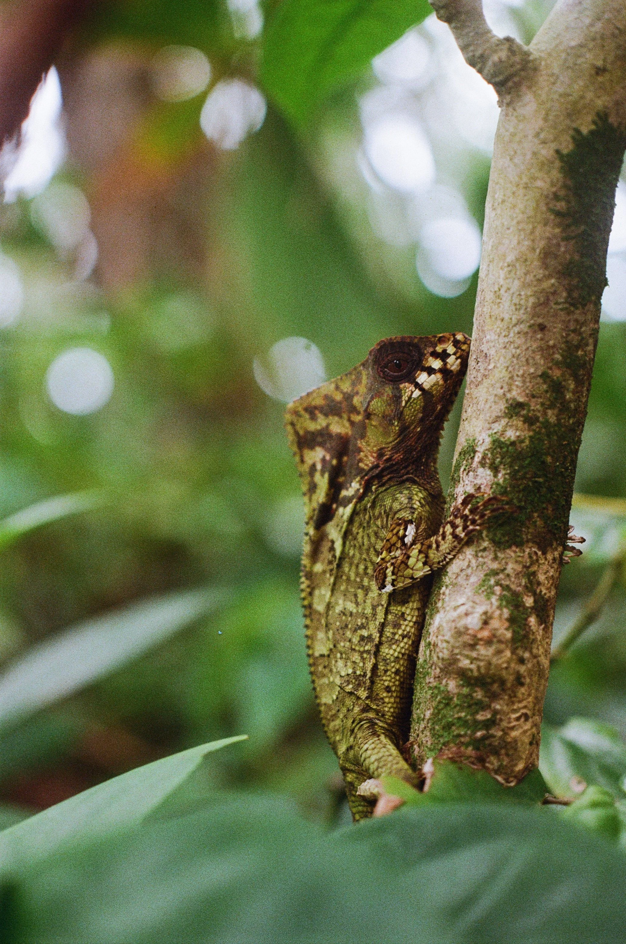 000088520007_18A (1).jpg