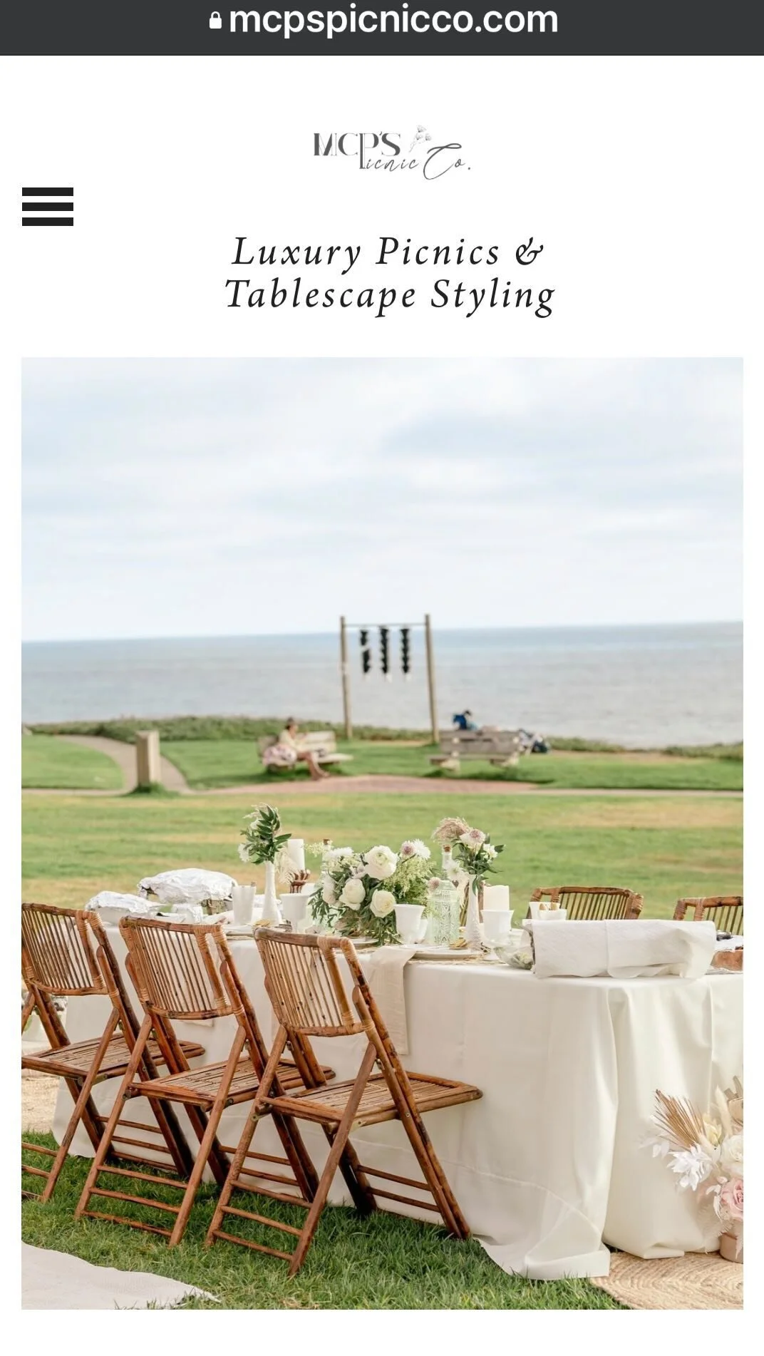 Terms & Conditions — MCP's Picnic Co. Luxury PopUp Picnics Orange, Riverside, San Diego — MCP