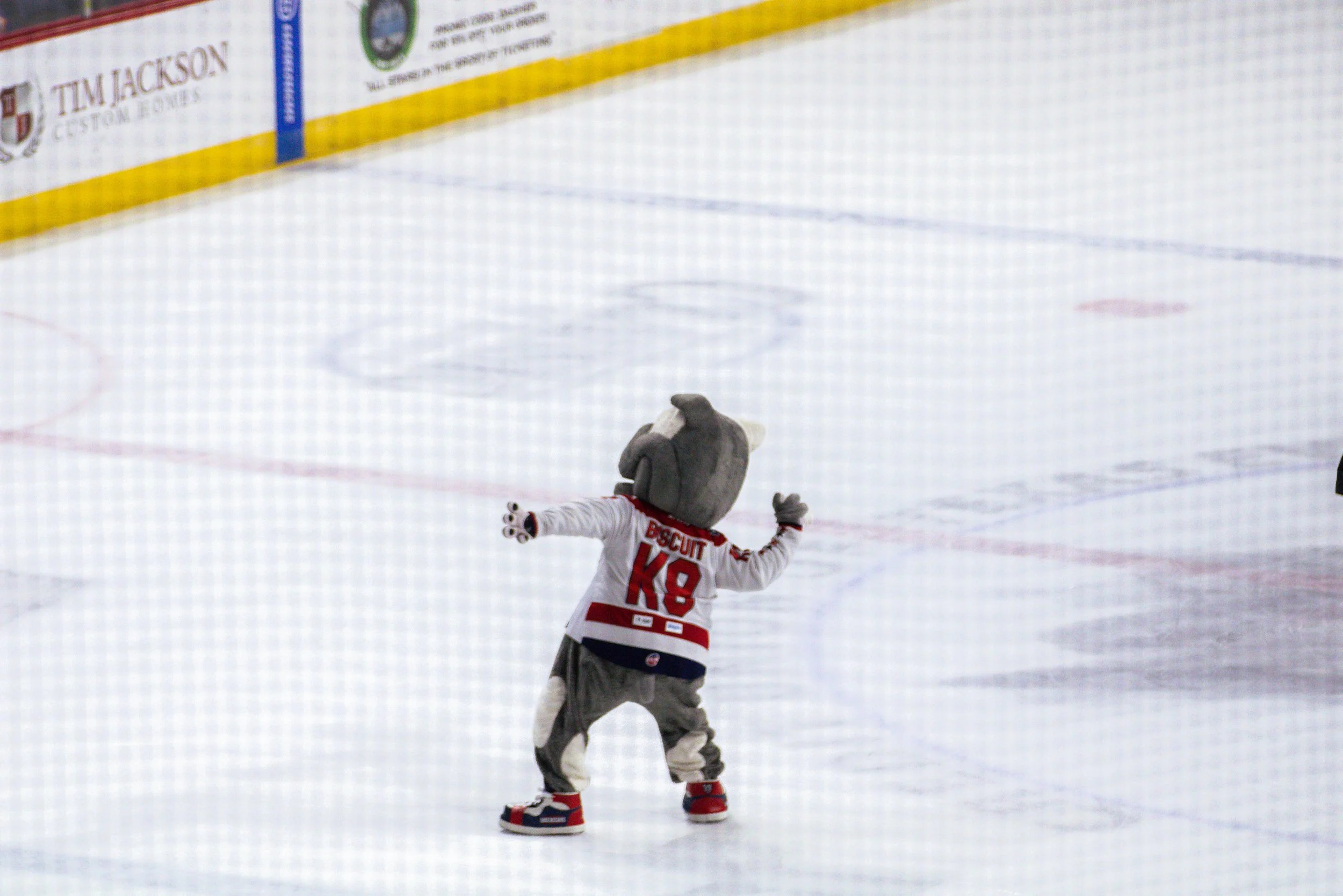 Ronnie4DigitalPhotography-Hockey-22.jpg