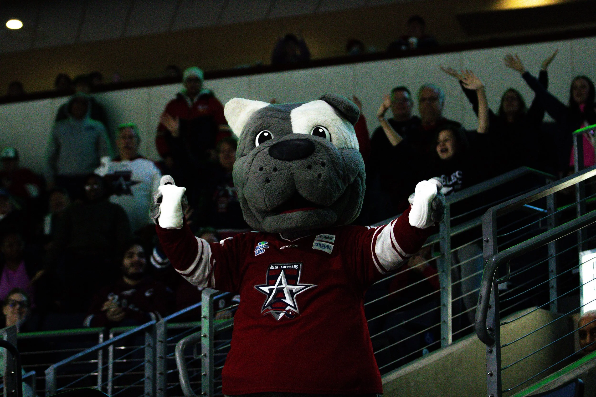 Ronnie4DigitalPhotography-Hockey-85.jpg