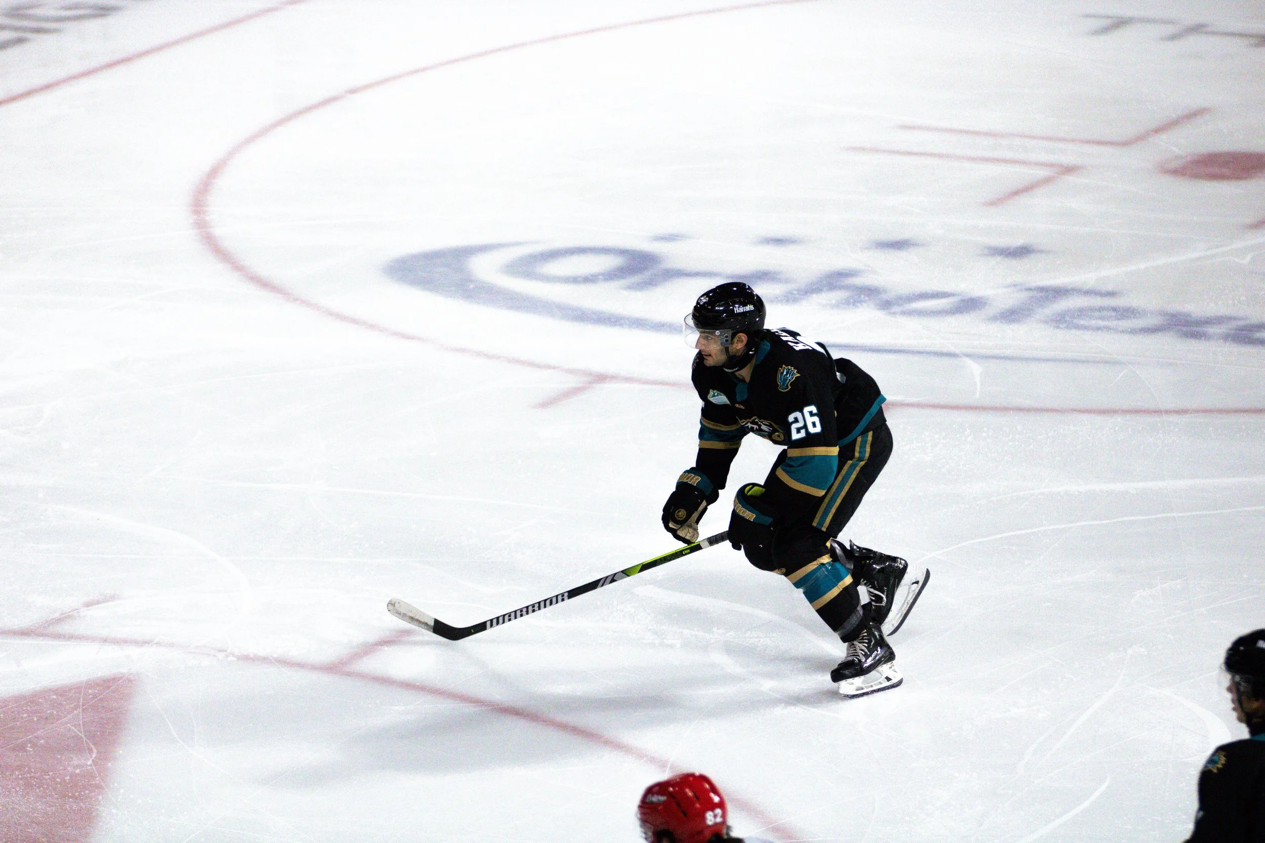 Ronnie4DigitalPhotography-Hockey-39.jpg