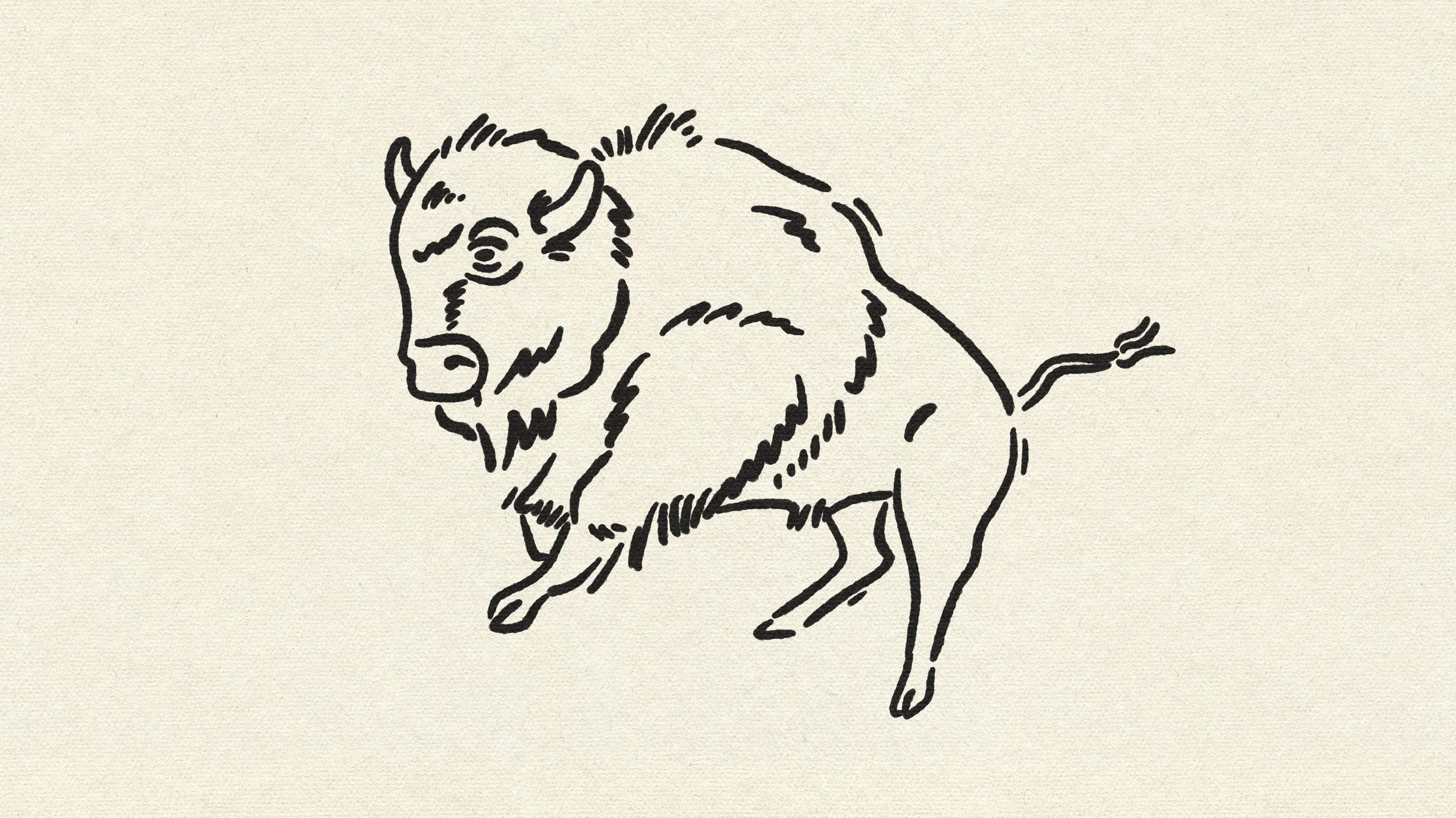 RANGER_BISON_Illustration_Lines.jpg
