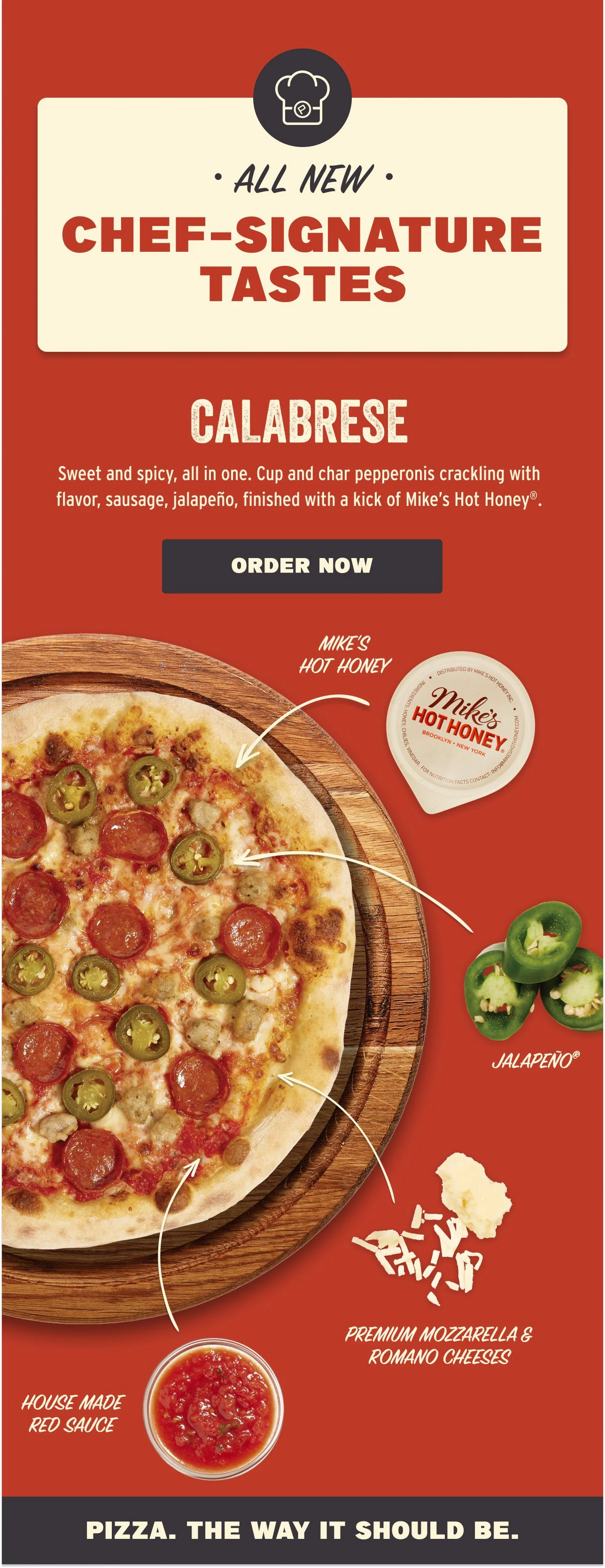 J163874 Chef Sig Anatomy – Calabrese Email V2.JPG