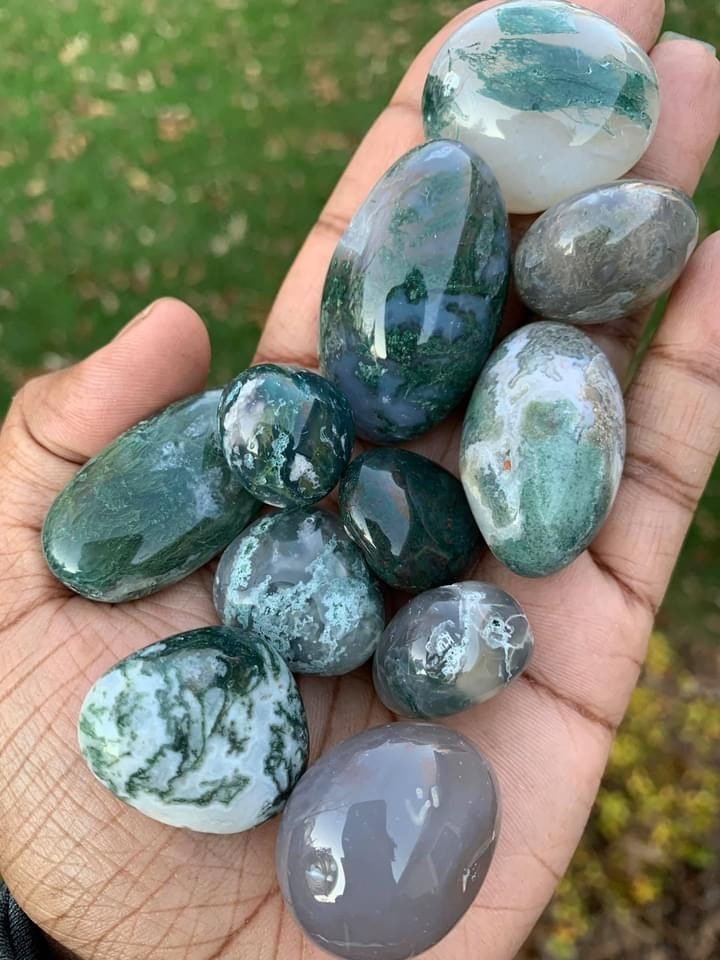 https://i.etsystatic.com/7648201/r/il/040cf6/2946161219/il_fullxfull.2946161219_erxx.jpg