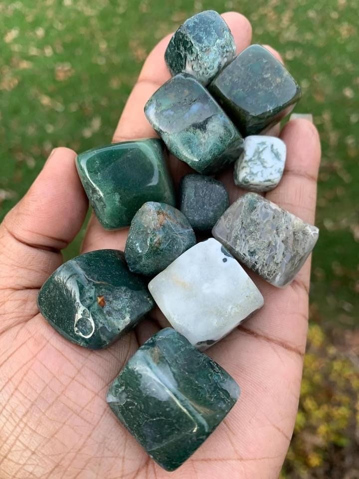 https://i.etsystatic.com/7648201/r/il/f8a243/2946161223/il_fullxfull.2946161223_afm3.jpg