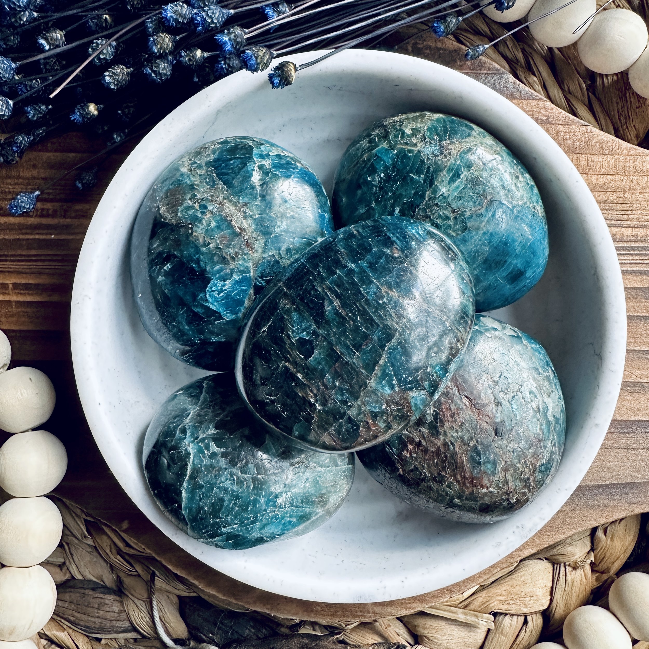 Apatite_Crystalpalmstone_soyeleen.com