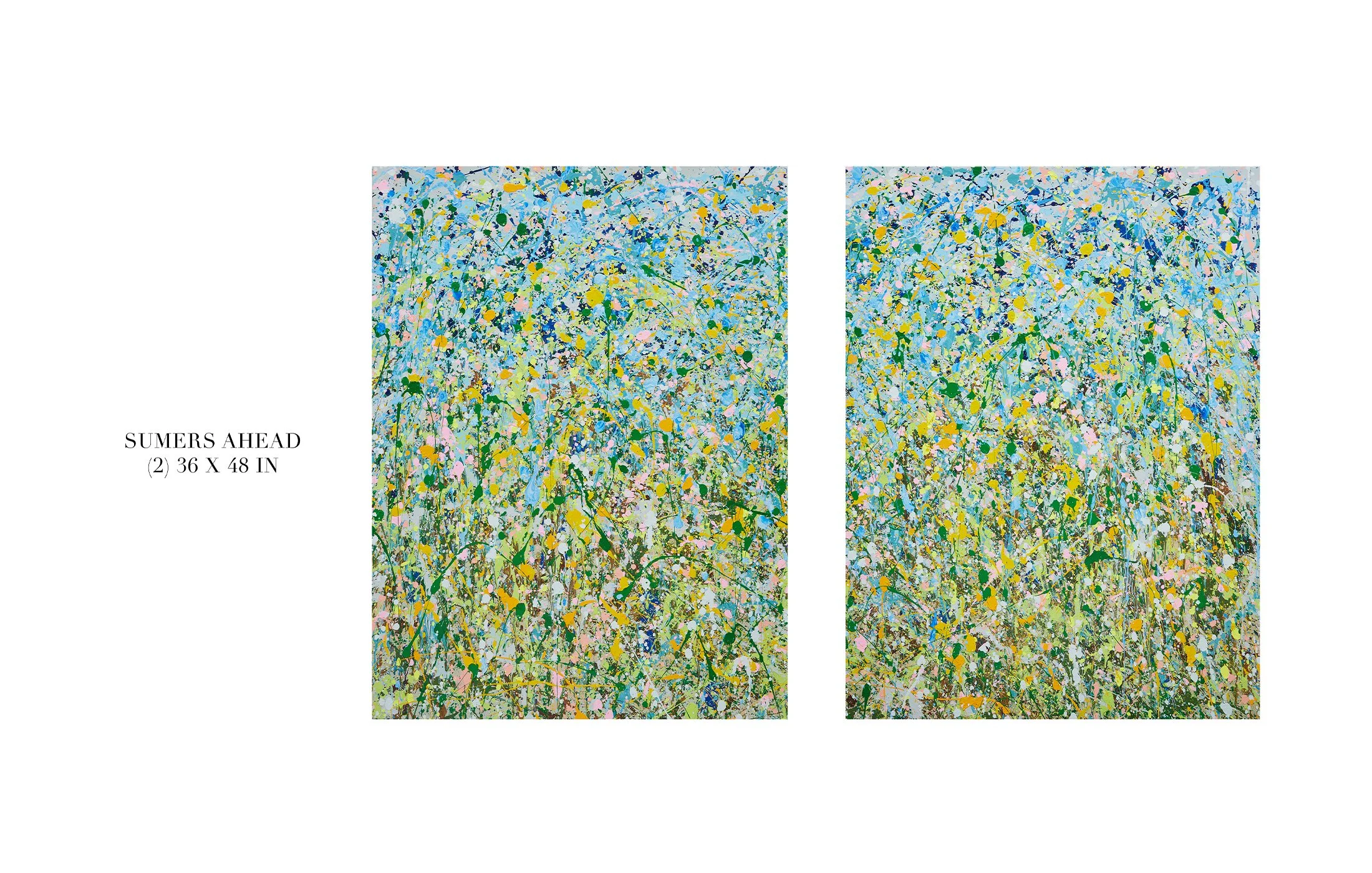 DYLAN_BARTOLINI_VOLK_ART_  18.jpg