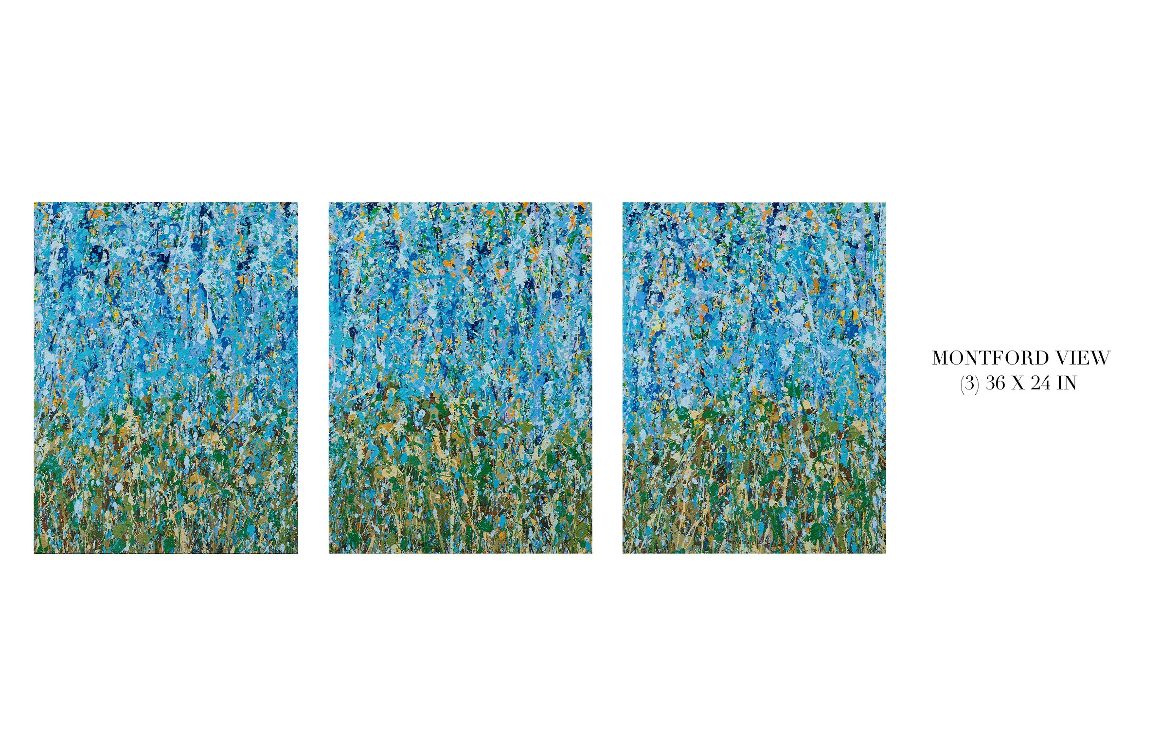 DYLAN_BARTOLINI_VOLK_ART_ 16.jpg