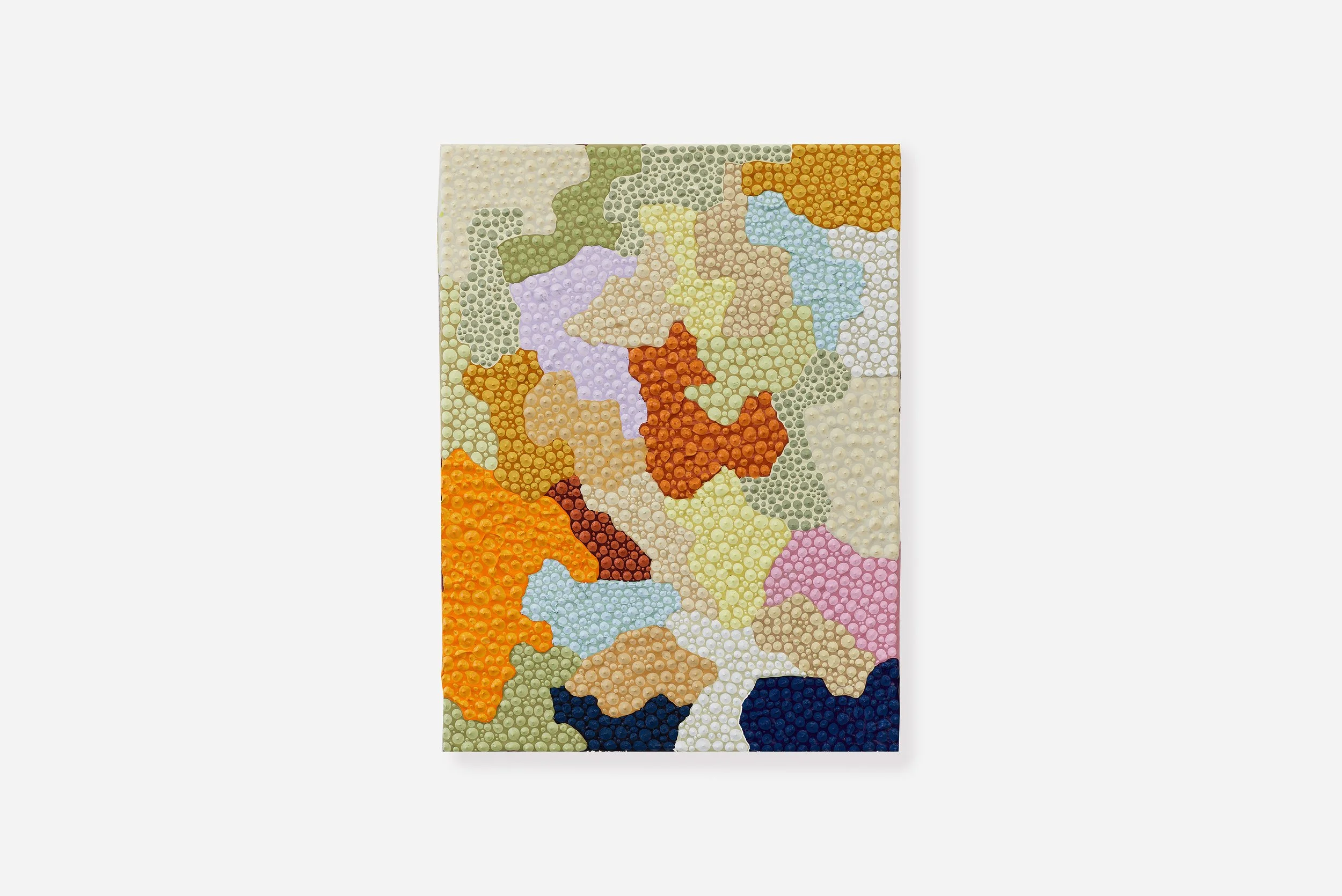 0 2025-DYLAN-BARTOLINI-VOLK- 395 SOUTH  ART CATALOG2187 copy 16.jpg