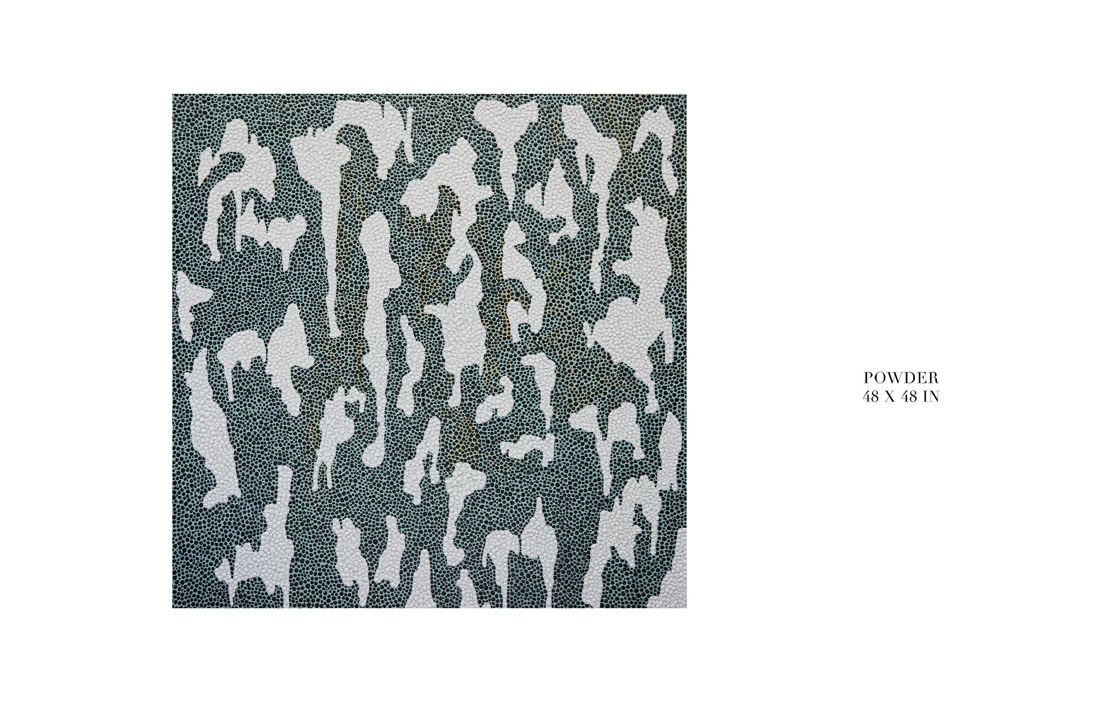 DYLAN_BARTOLINI_VOLK_ART_  8.jpg