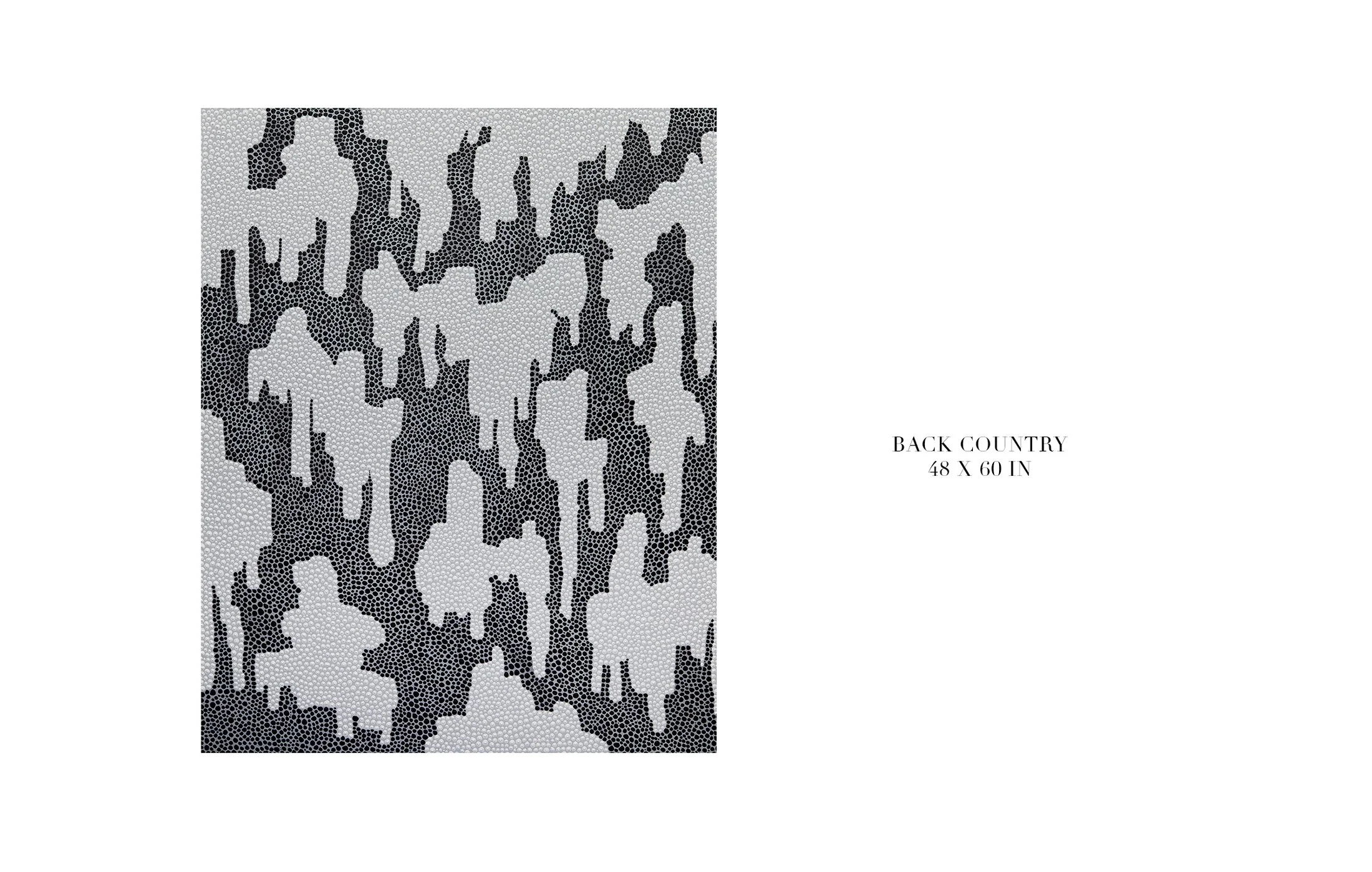 DYLAN_BARTOLINI_VOLK_ART_ 5.jpg