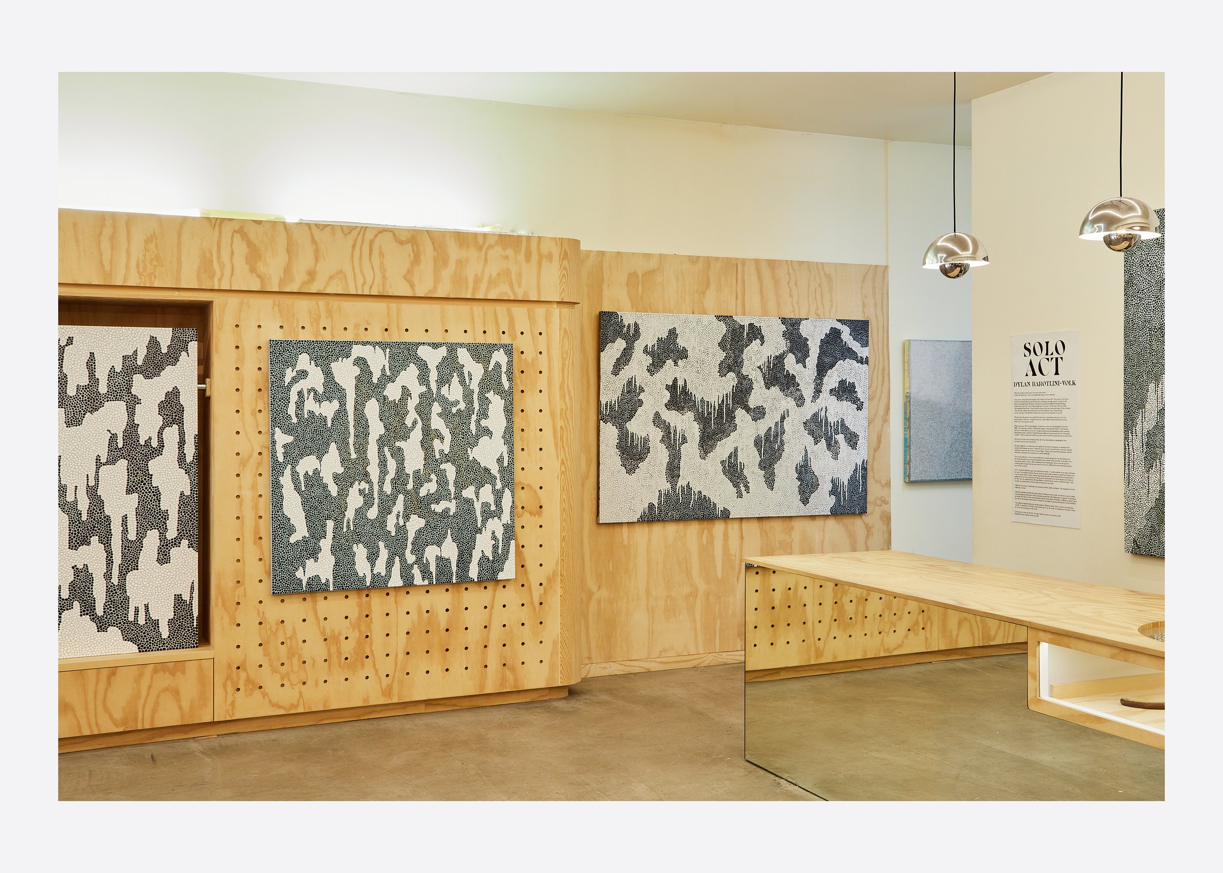 SOLO ACT SHOW MAY 20258159.jpg